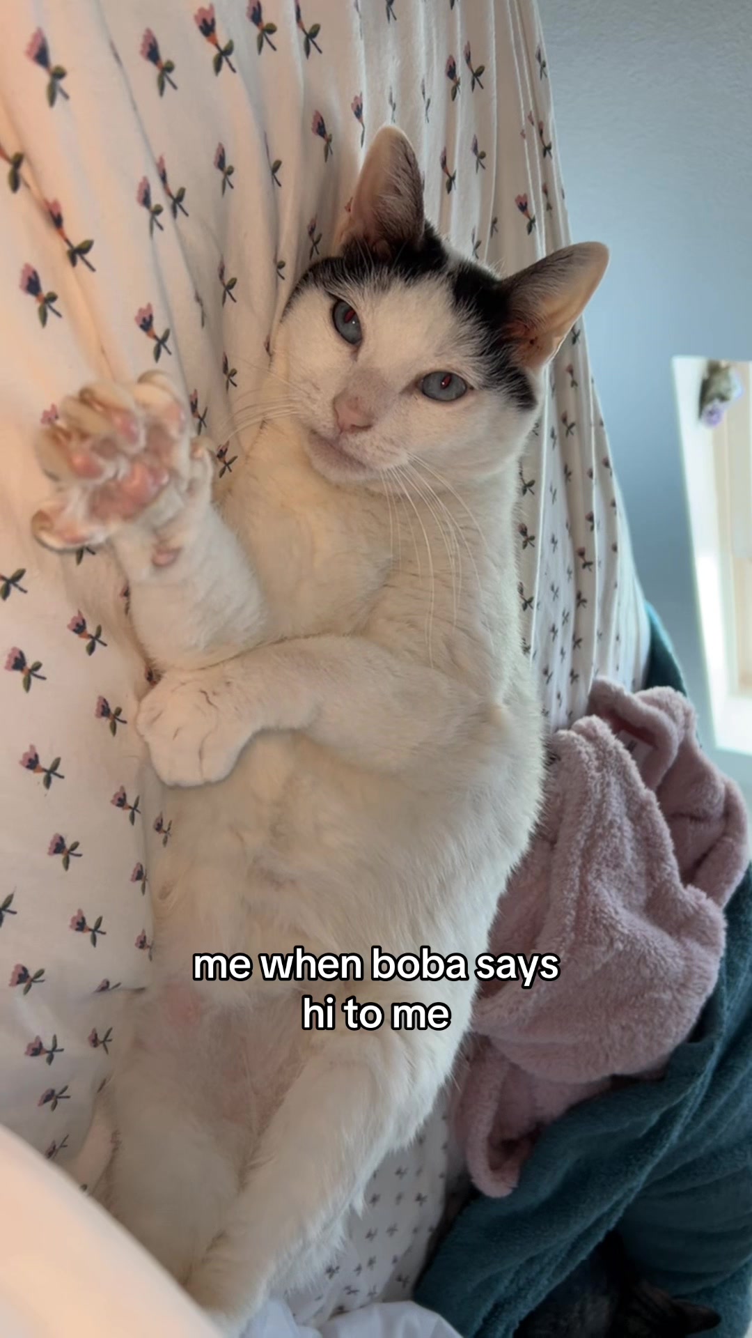 @boba
