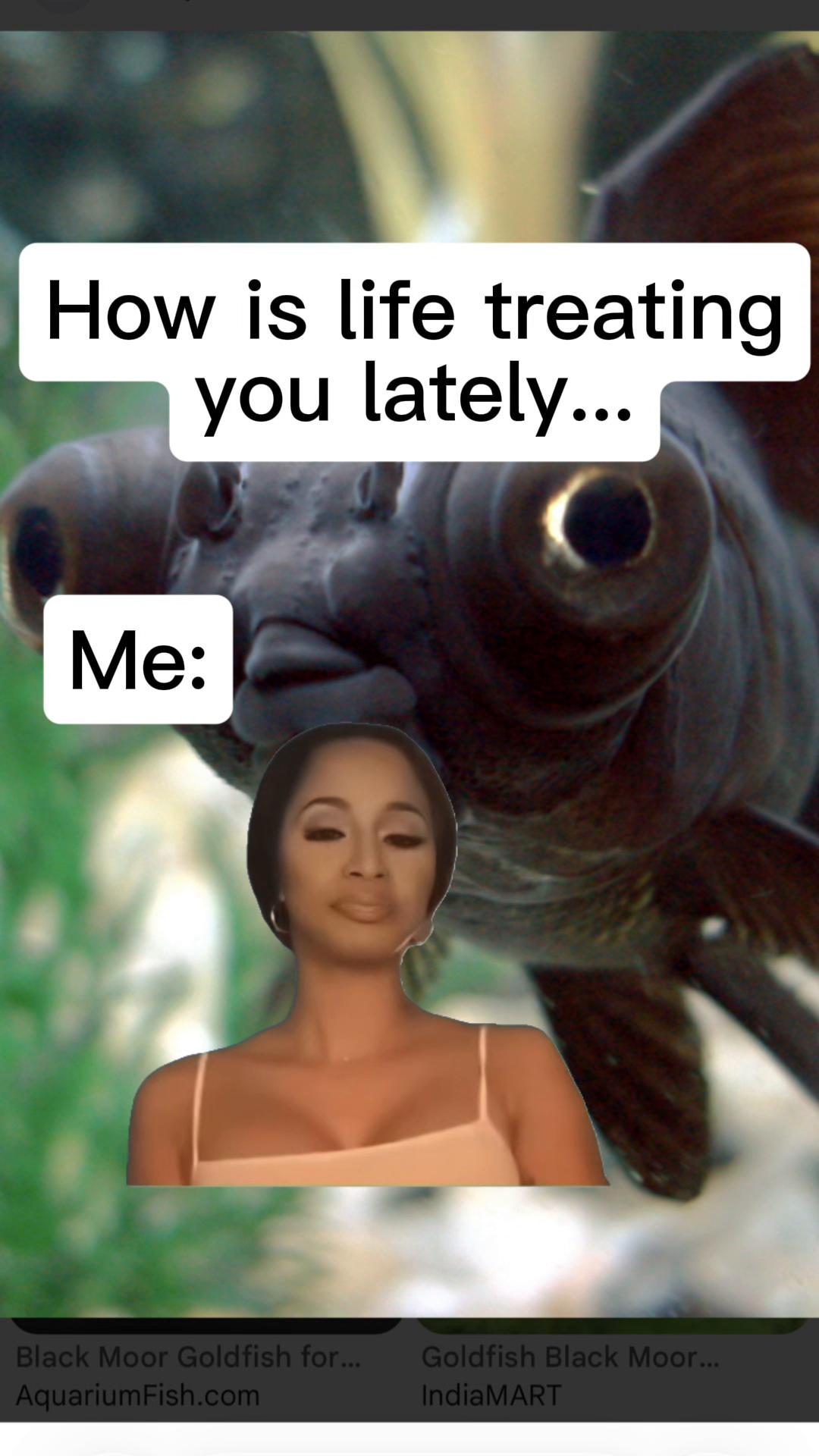 @Stef