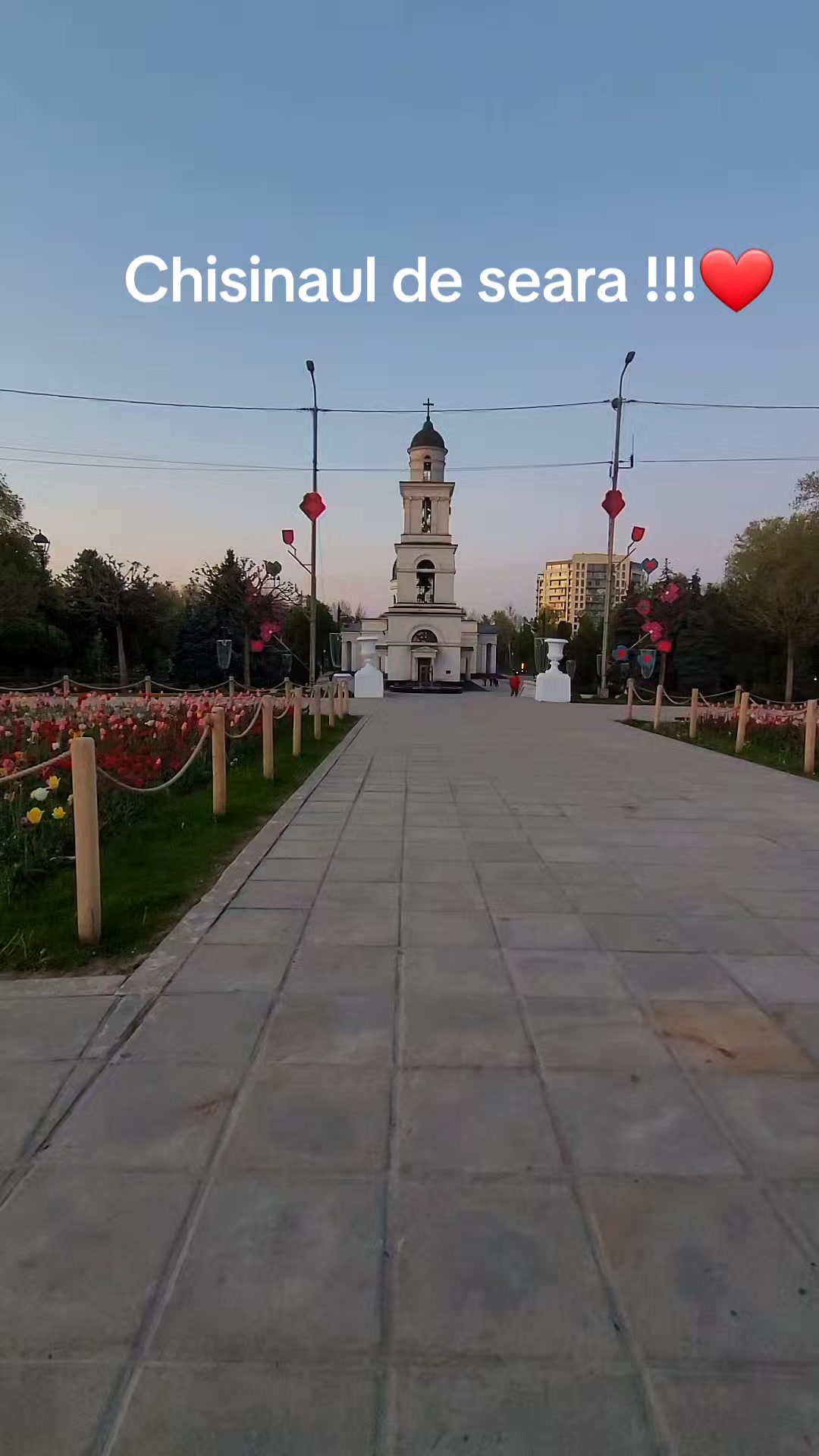 @Svetlana Sergheevna