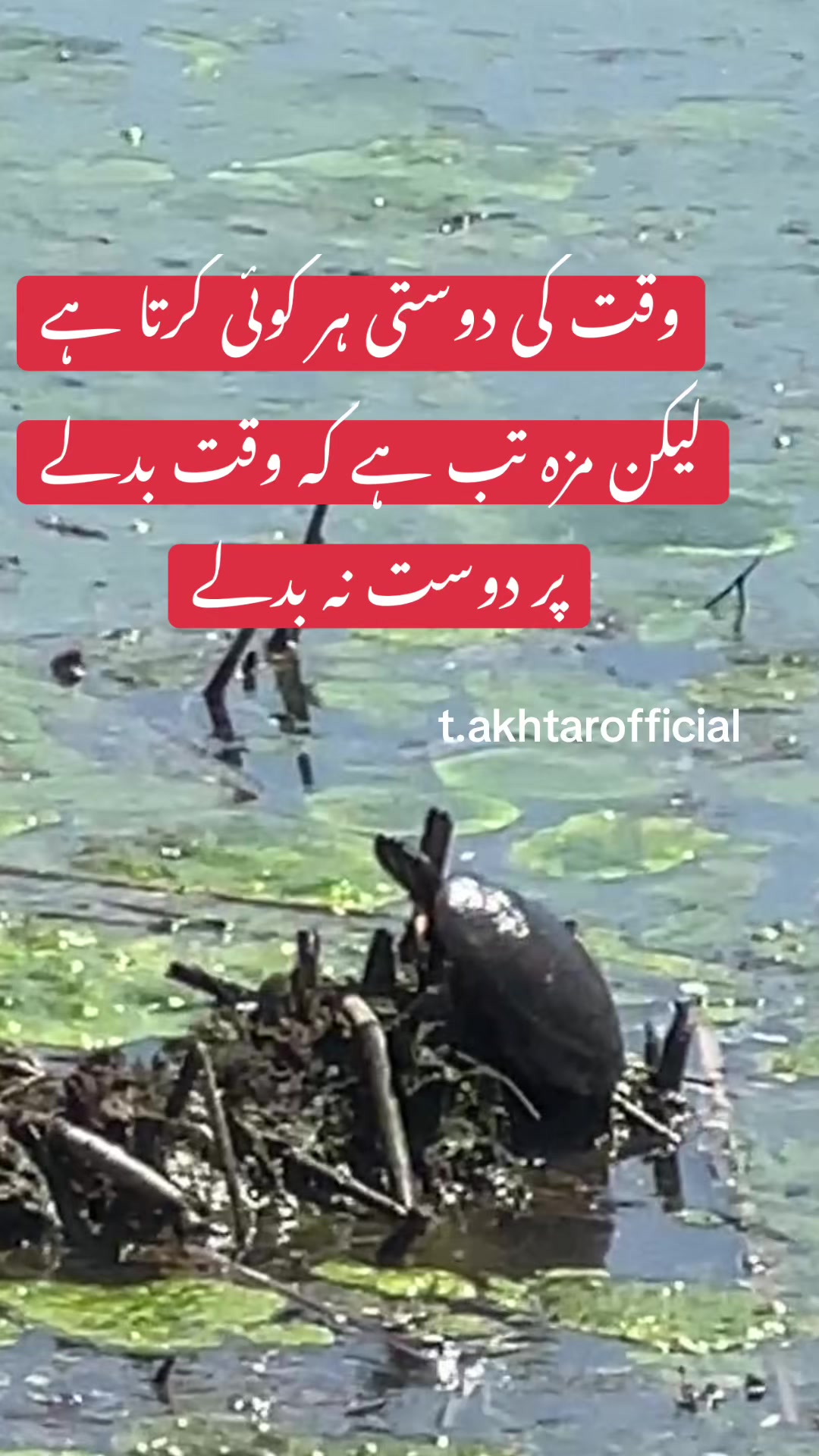 @T.Akhtar Official