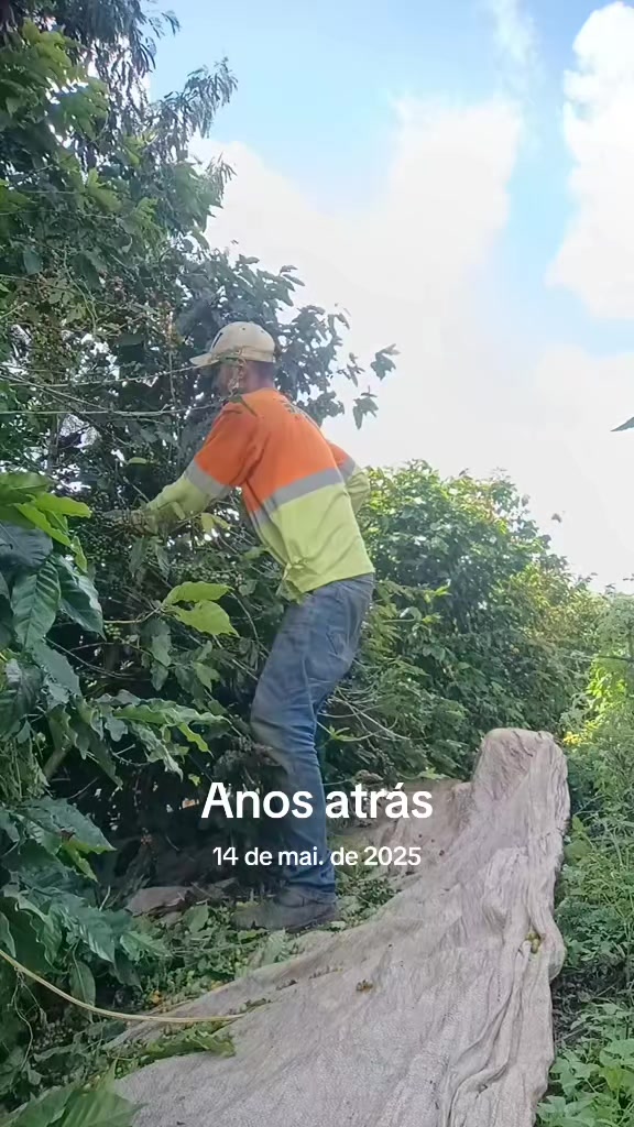 @Marcos Bola12