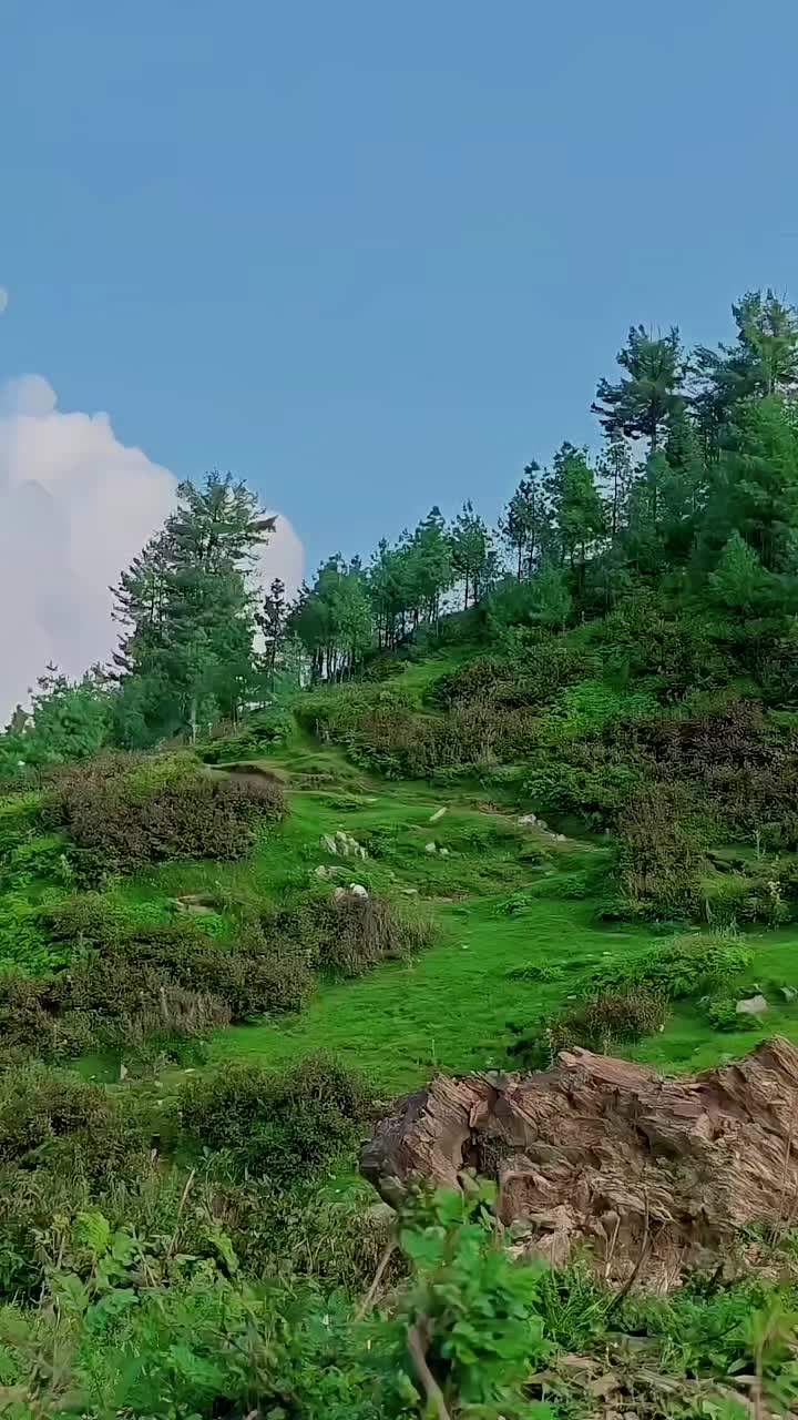 @🍁 AMJAD AFRIDI ⚡