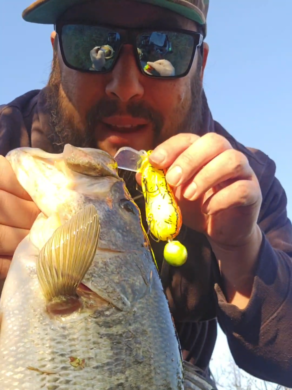 @SacPig Bait Co.