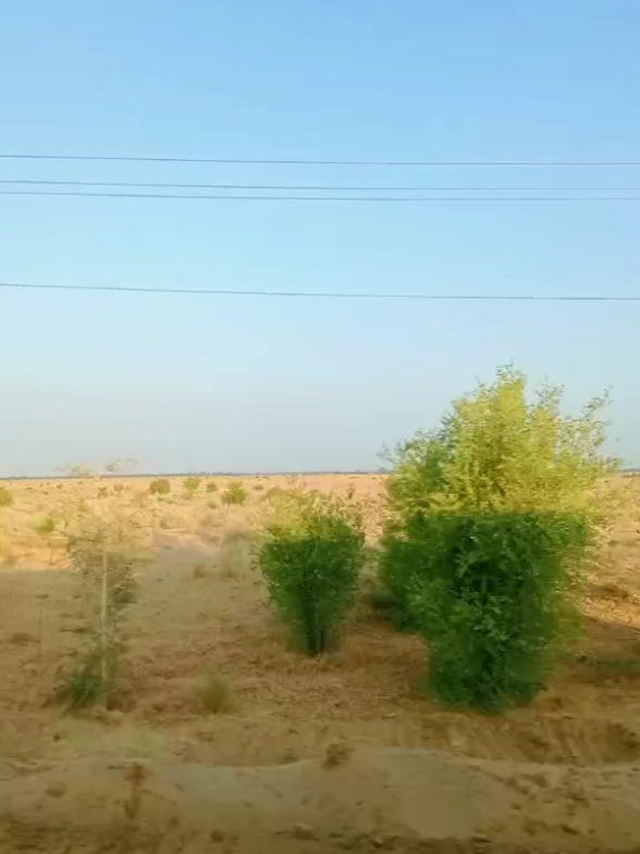 @ᗷᗩᔕᗩᒪ🌿 ᒍᑌTT🌾