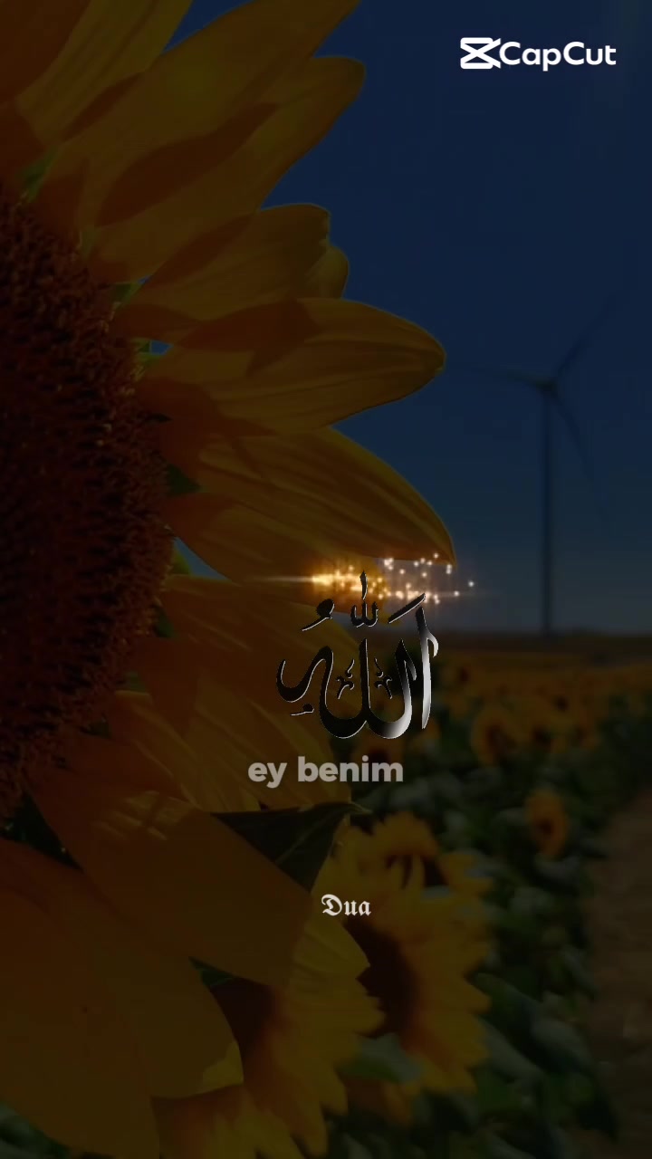 @👉👑𝐊𝐑𝐀𝐋👑👈