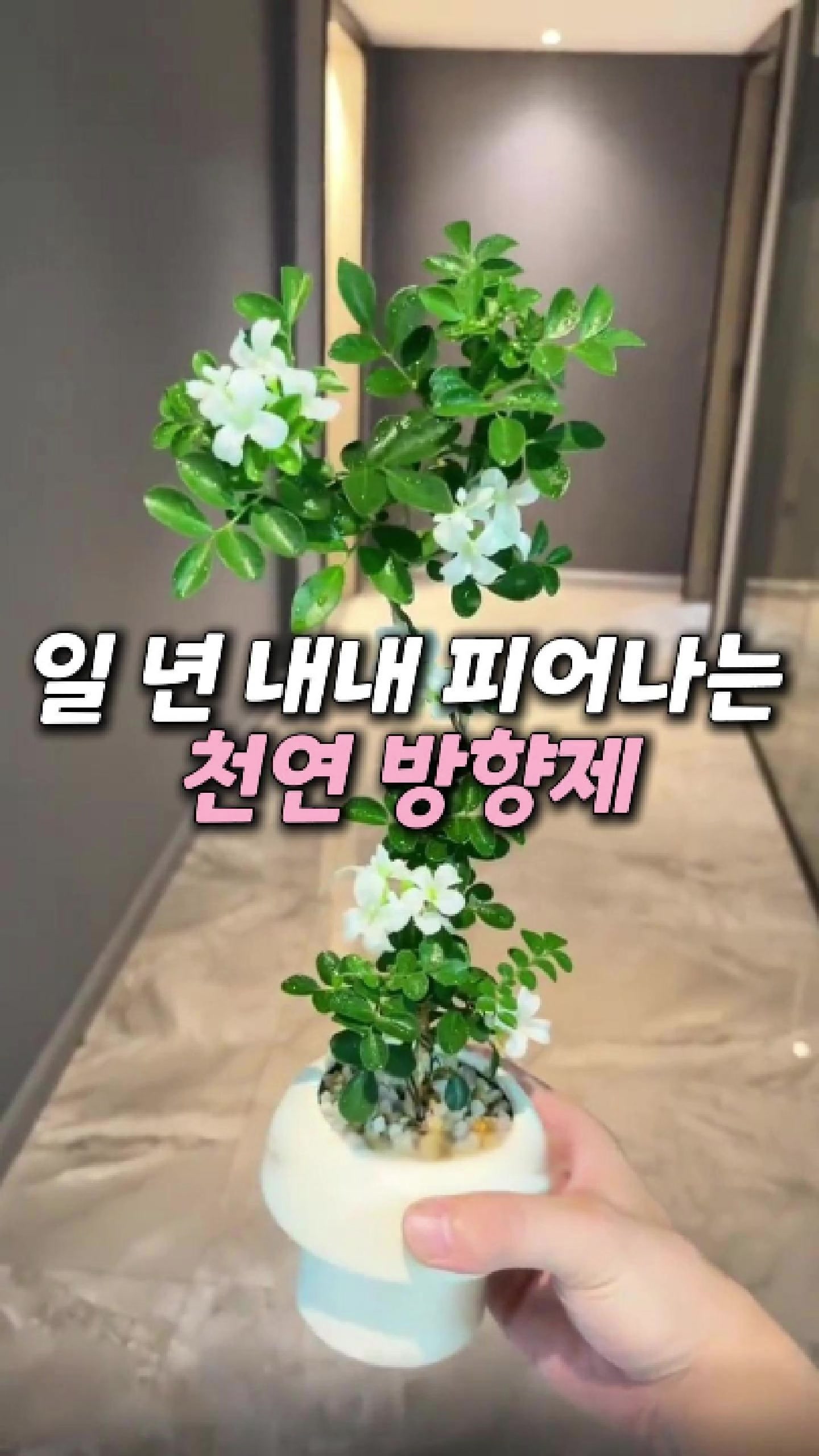 @빛나홈(구매는 여기 터치!😊)