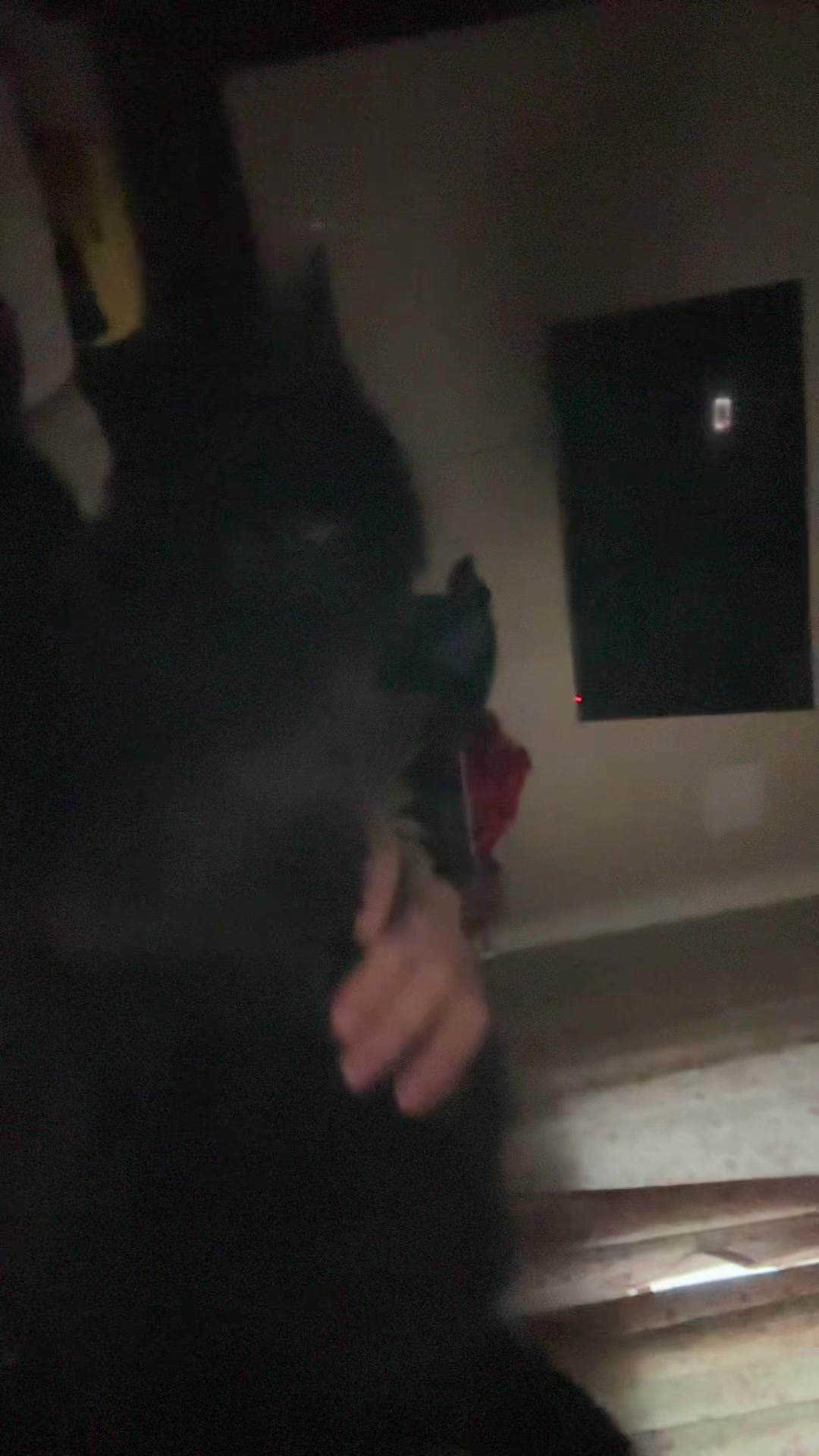 @PlusheviMike