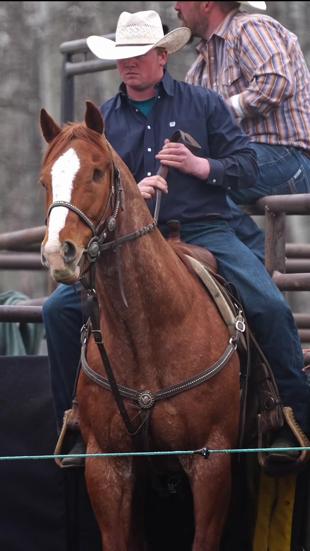 @Hanginghorses