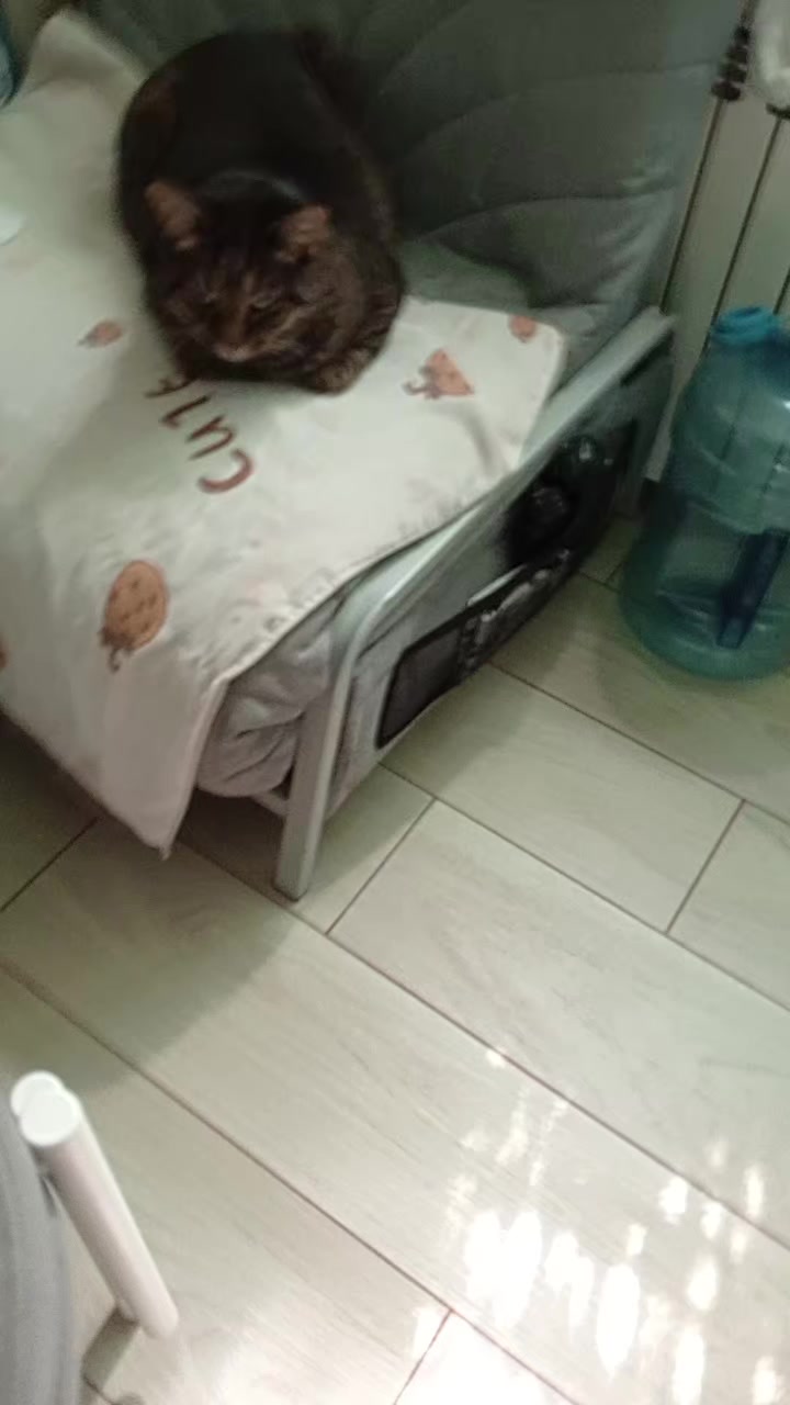 @кукумбер.