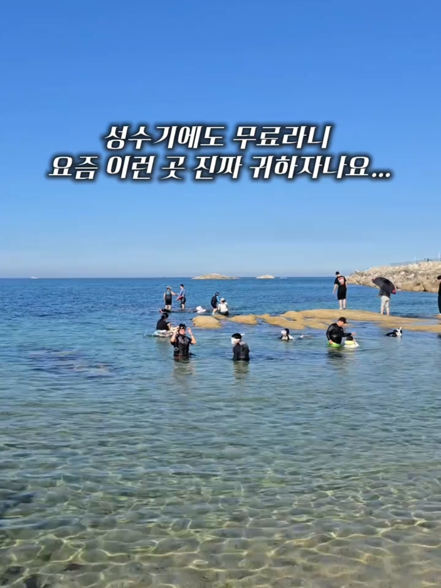 @캠퍼준영