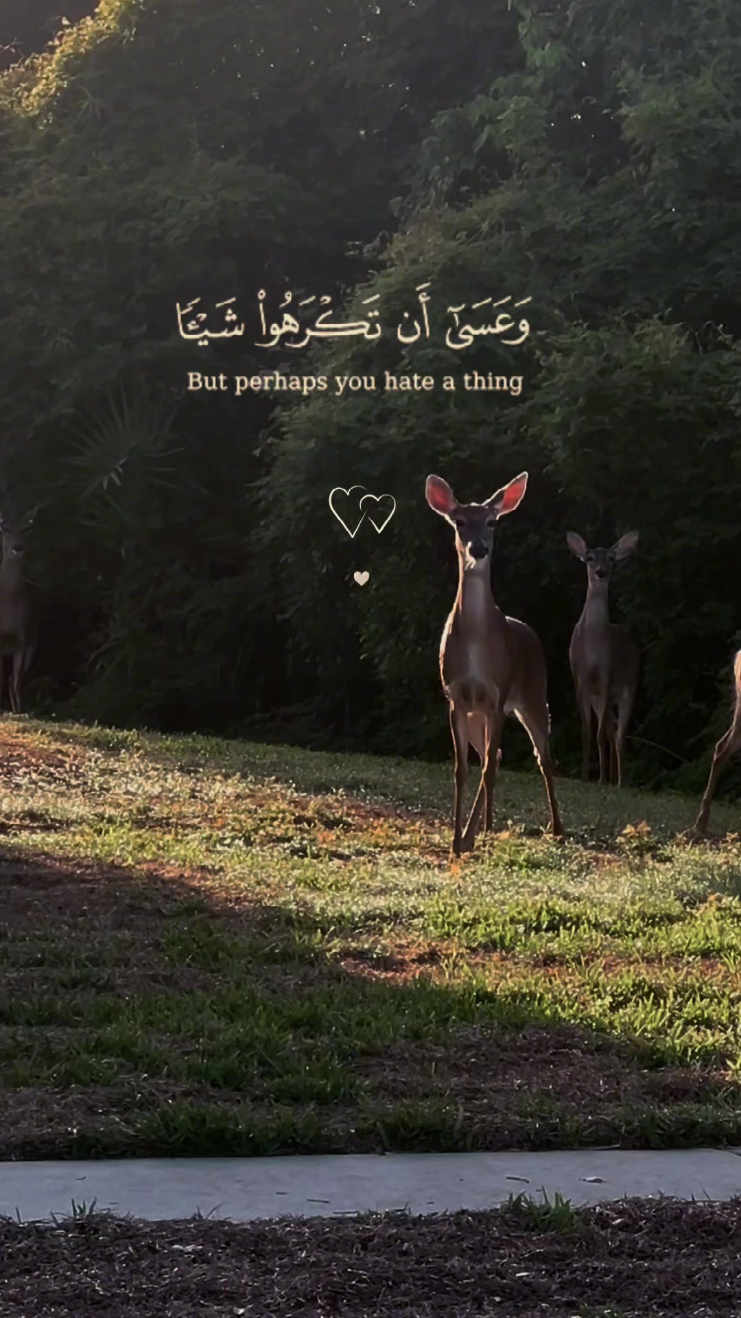 @Om MARAM