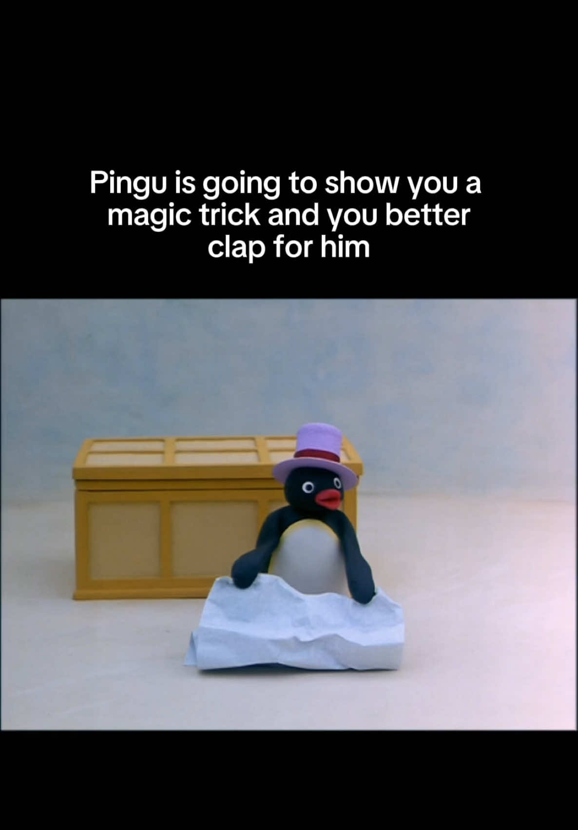 @Pingu