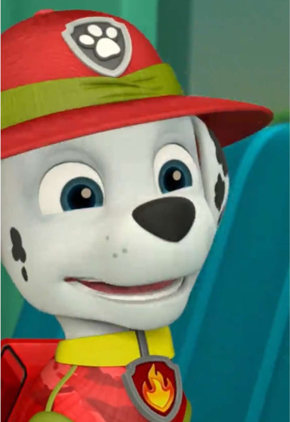 @pawpatrol