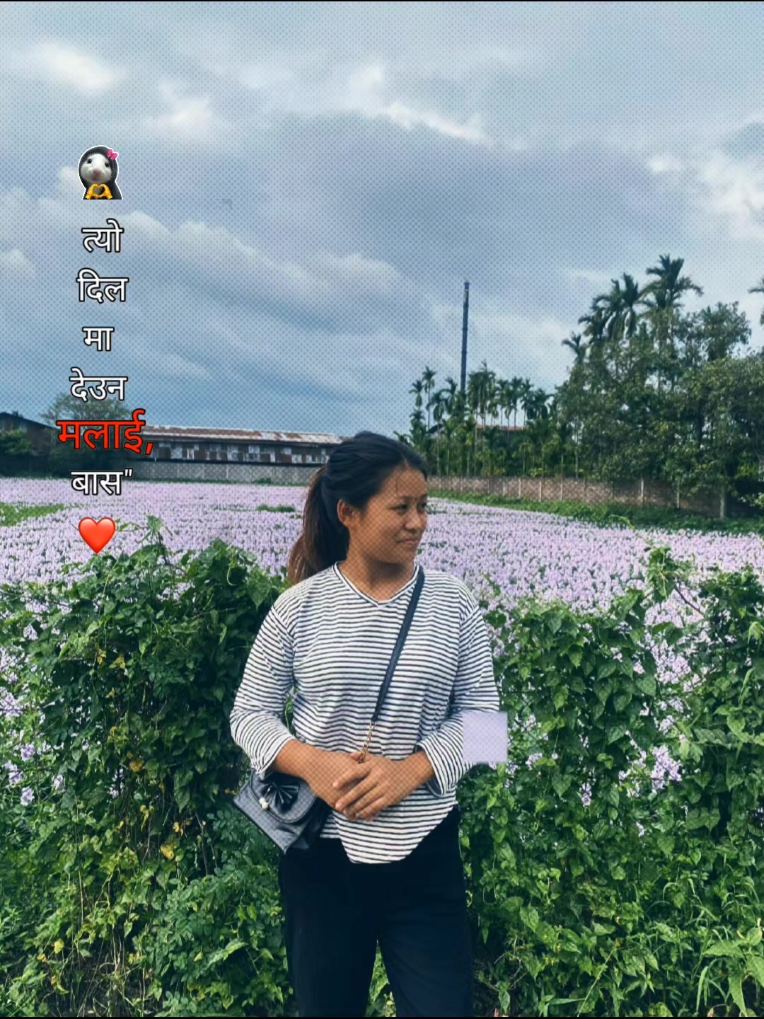 @SusMa MewaHang