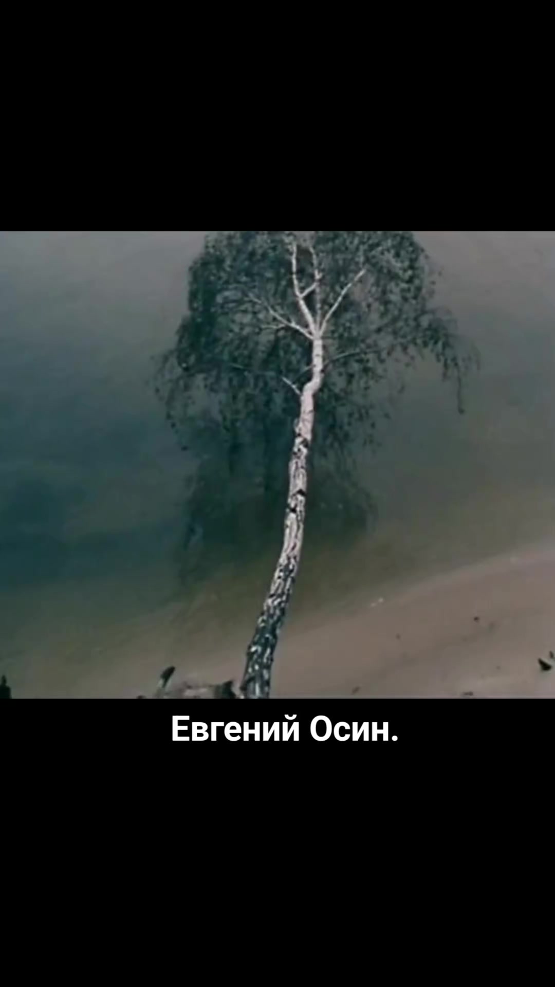 @🌺Лилия🌺