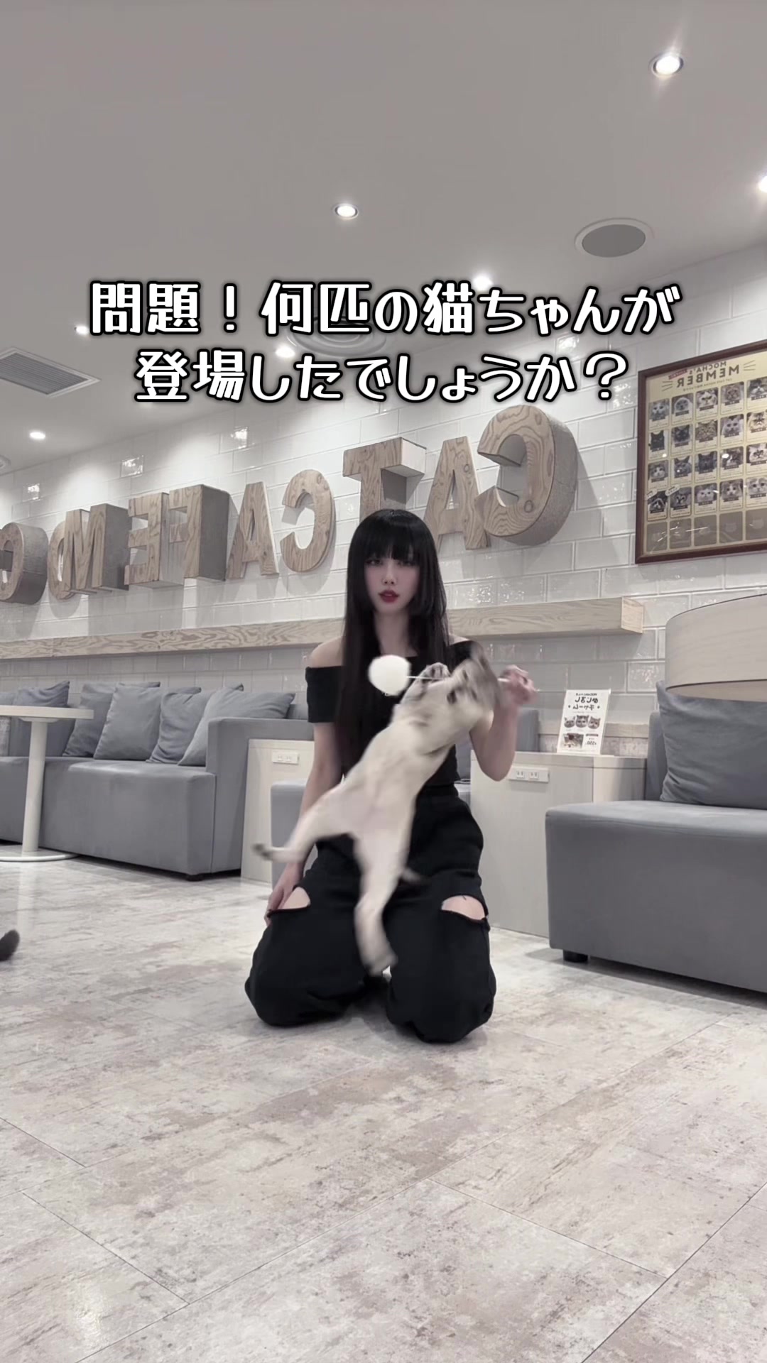 @南野 音(なんの おと)
