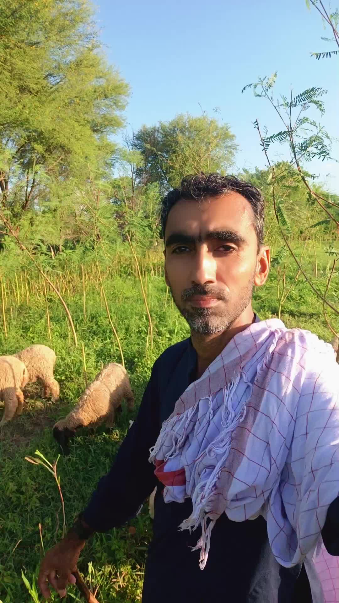 @Noor Muhammad