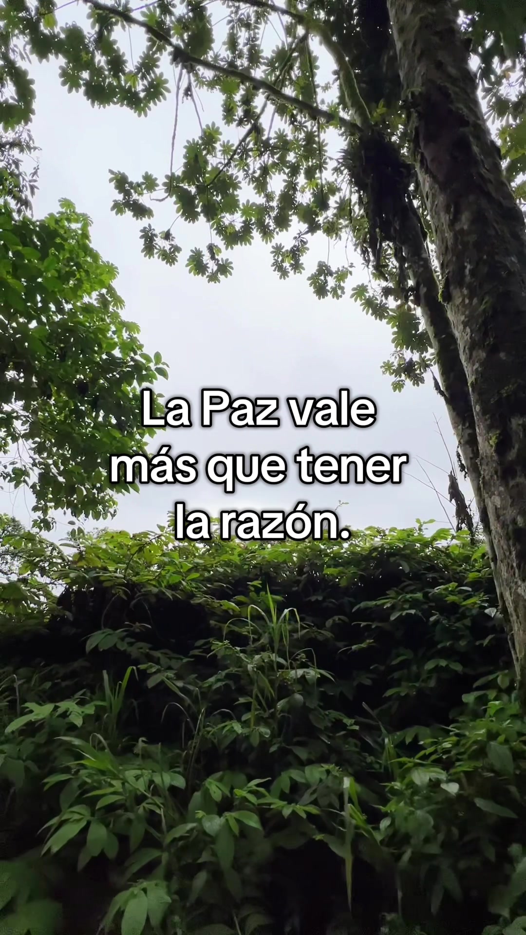 @Flakito