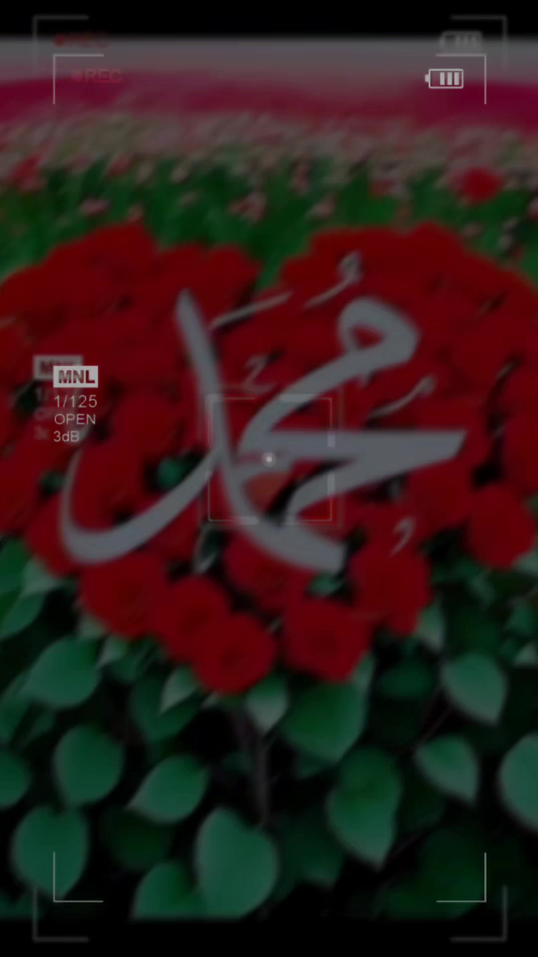 @Sharif_in087