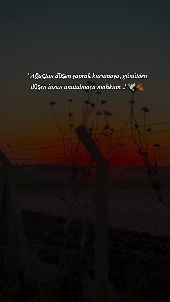 @𝐒 𝐓 𝐄 𝐑 𝐊 ✷