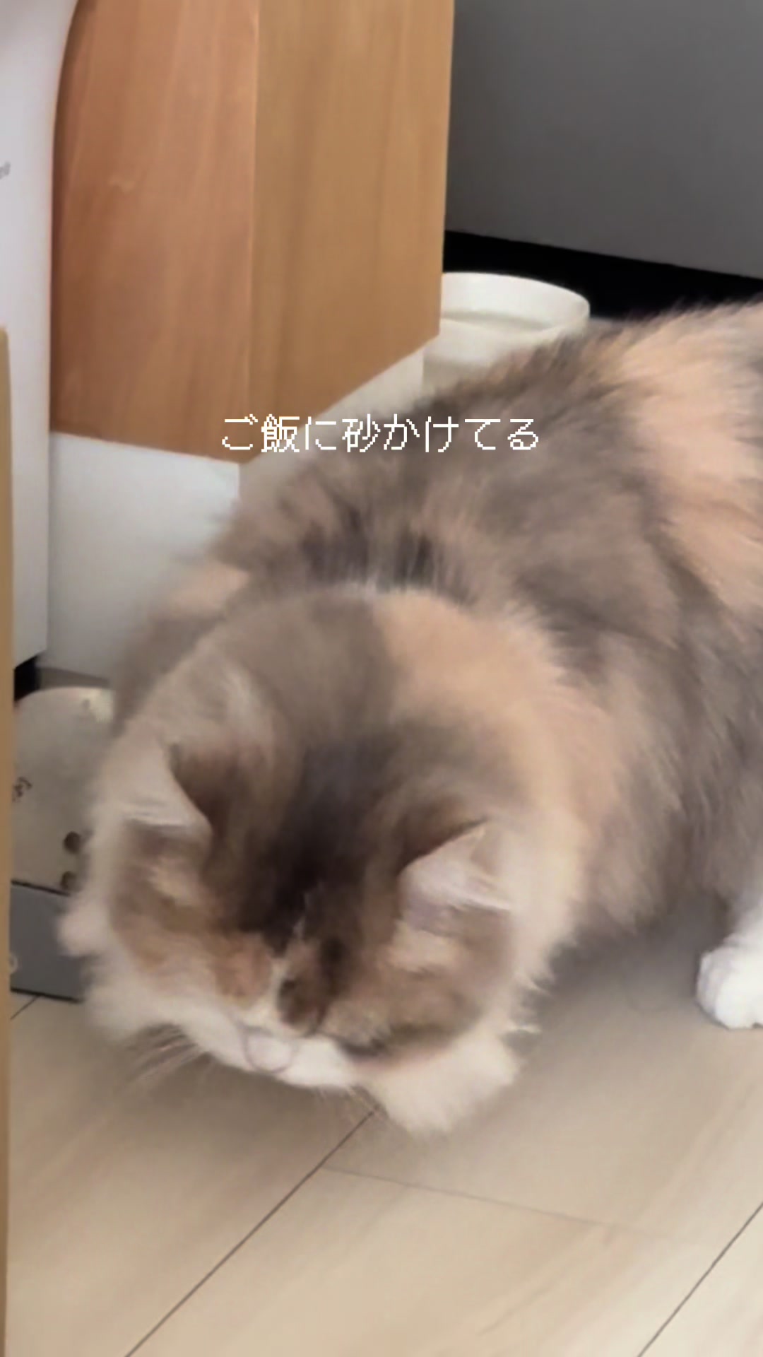 @ややとゆゆ