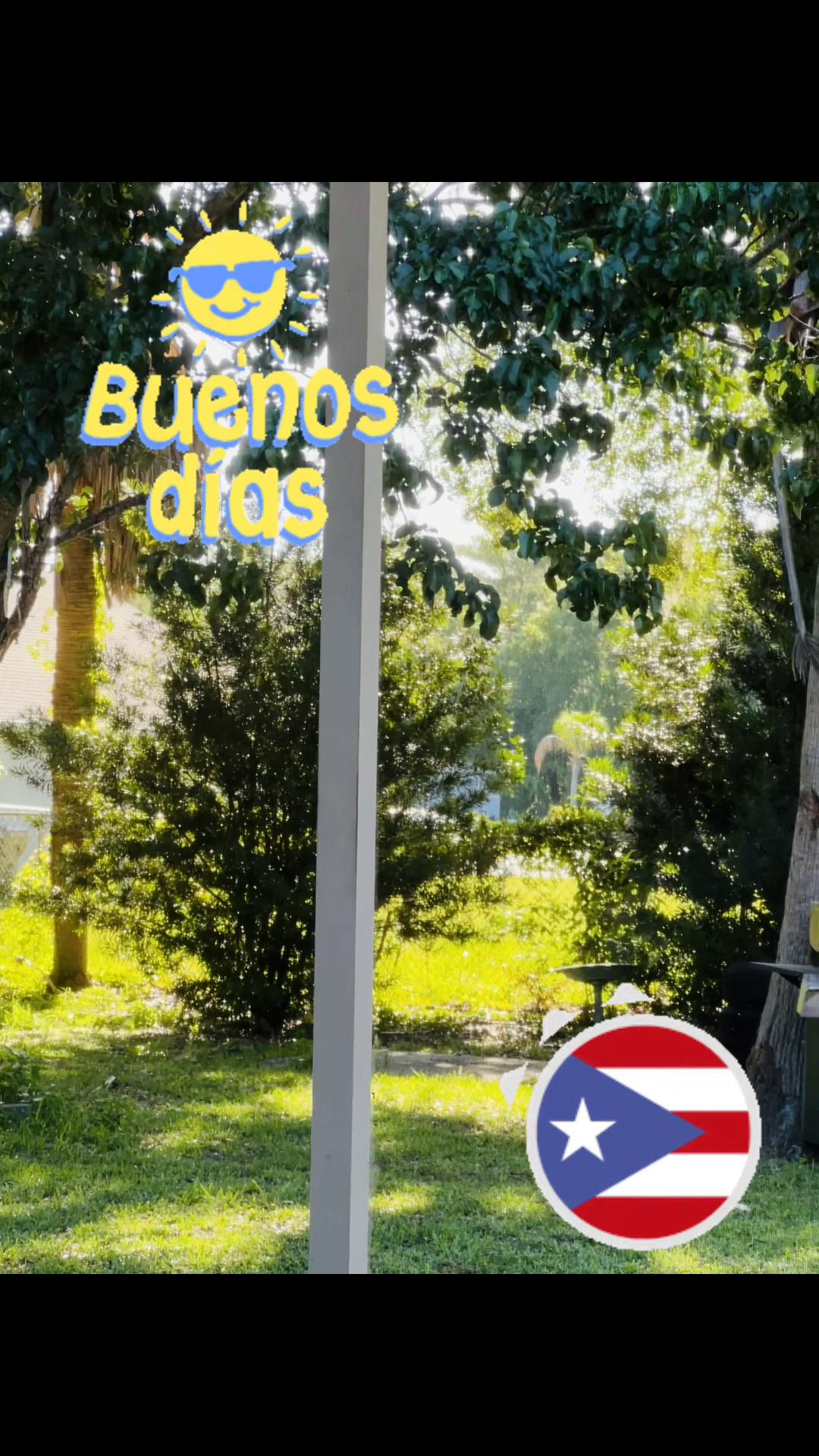 @sammy3230🇵🇷🇵🇷
