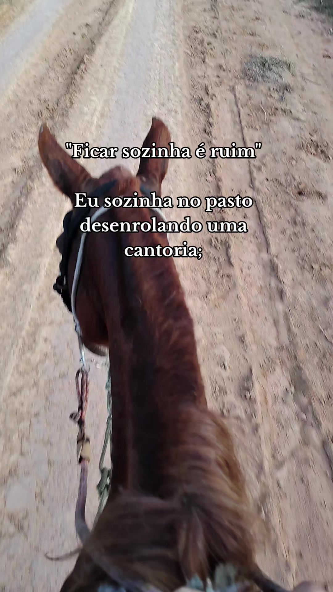 @Flávinha 🤍