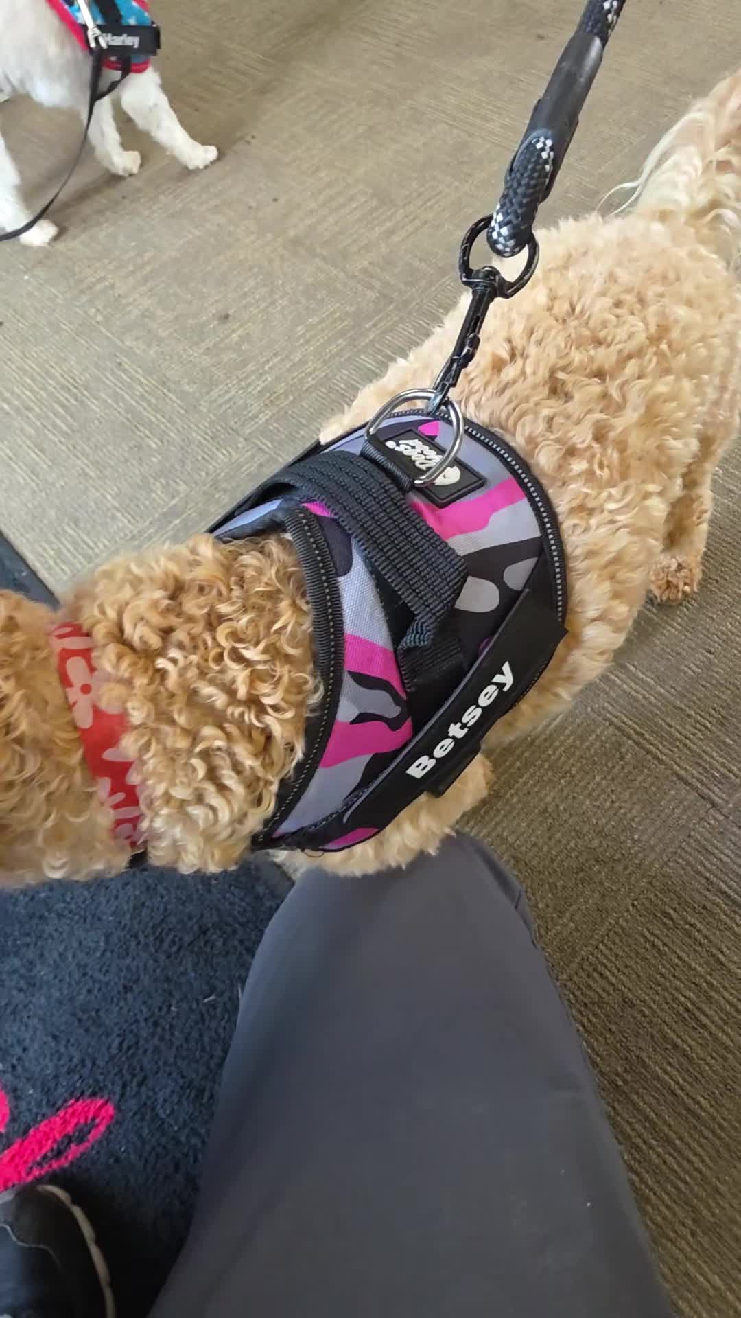 @AZRVExpert