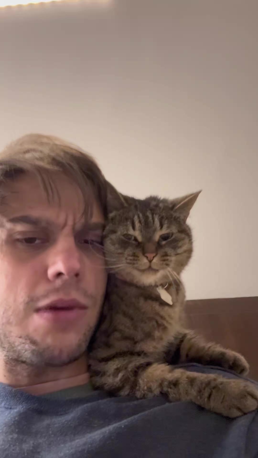@Bellarda the cat