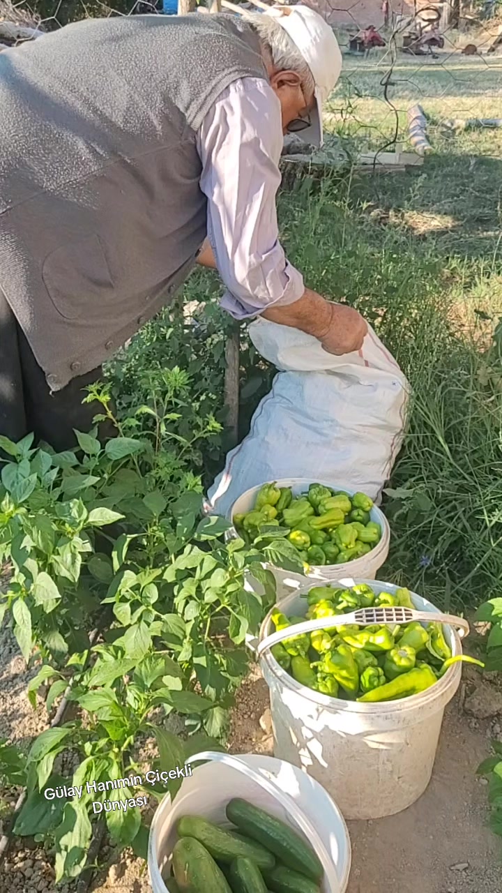 @Gülay Hanımın Çiçekli Dünyası