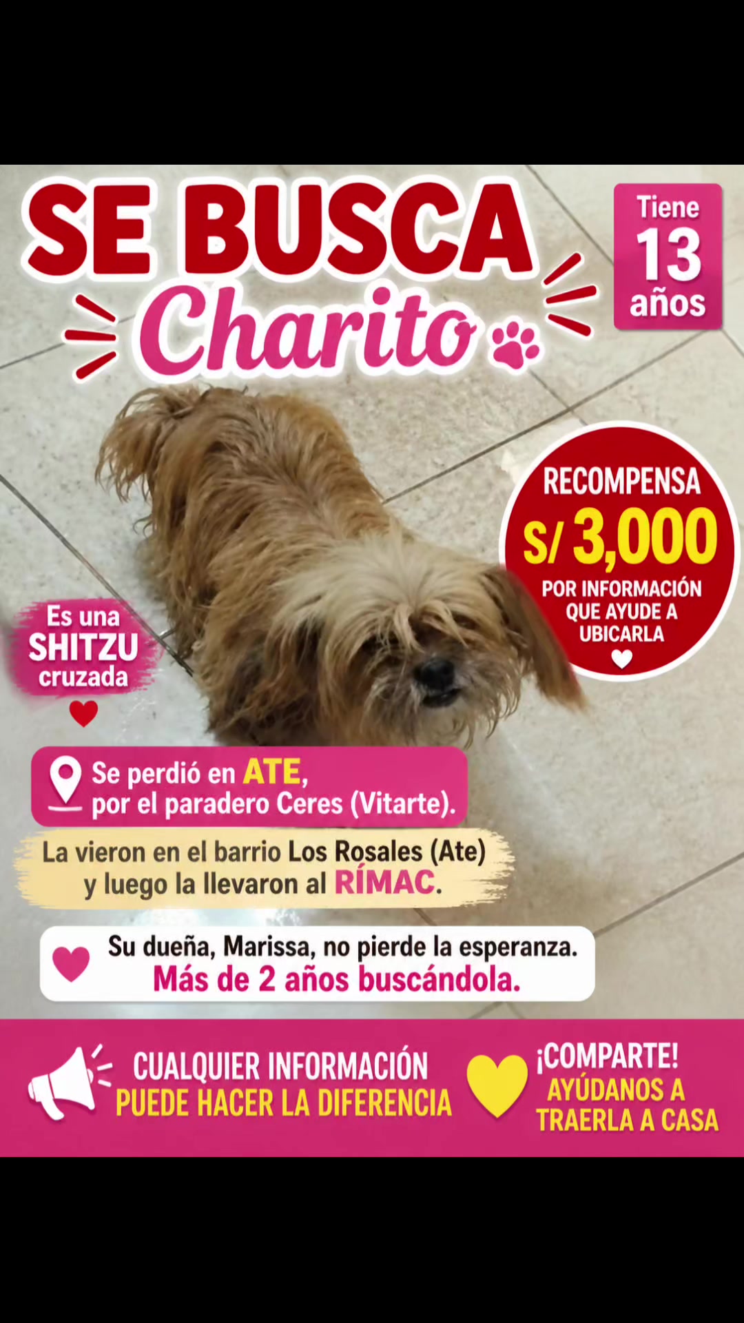 @Perritos Voladores