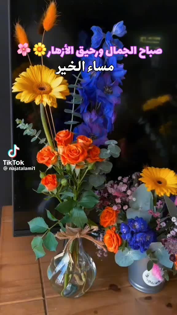 @مصطفى فيلسوف🏺