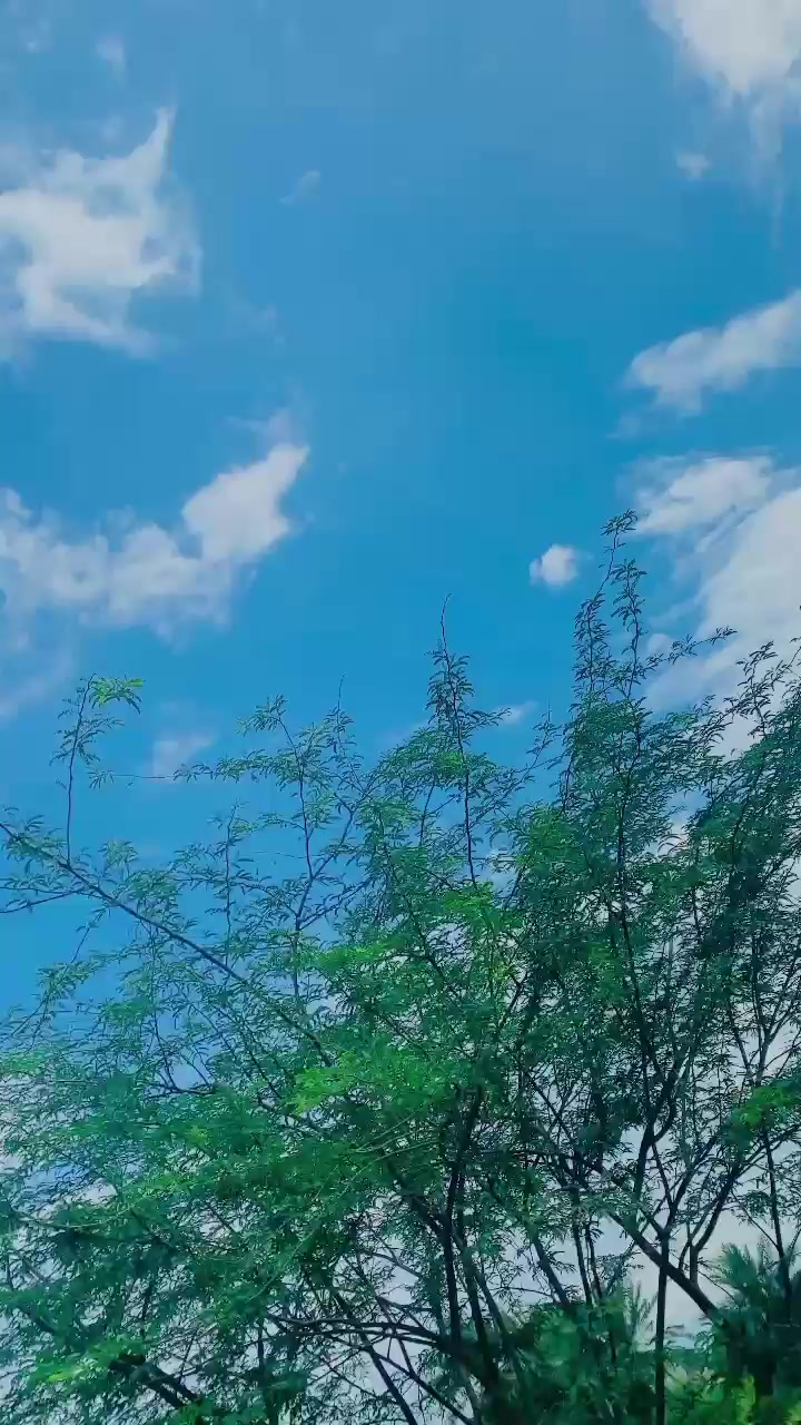 @💞🥀💞🥀