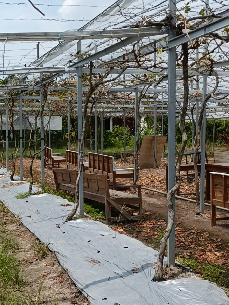 @DNA Garden