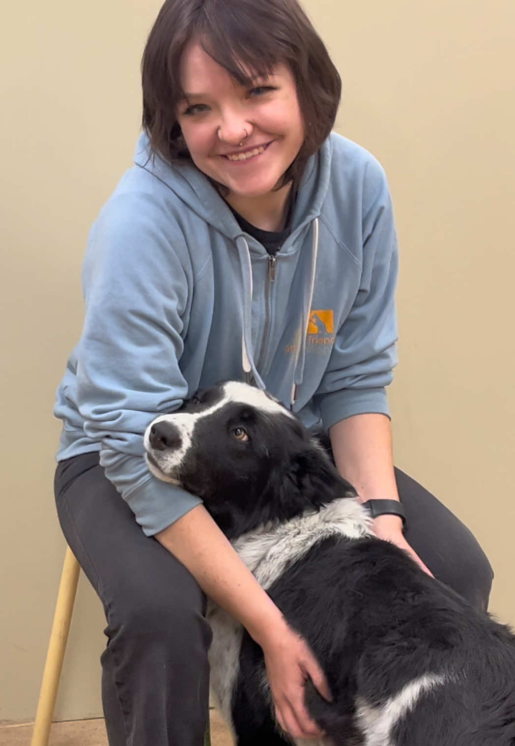 @Animal Friends Alliance