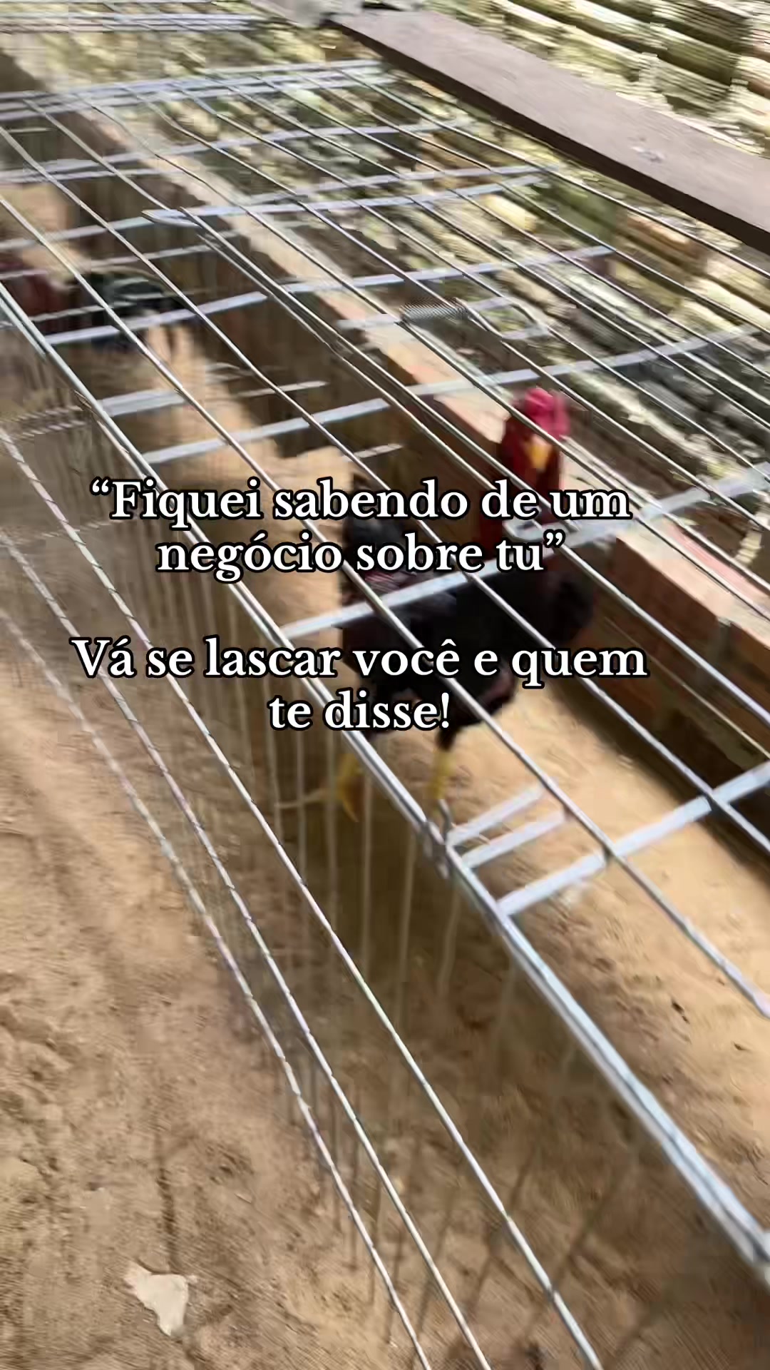 @Pedro Jorge filho