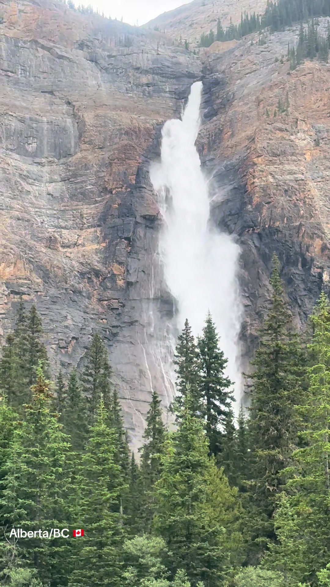 @Ada 🇨🇦
