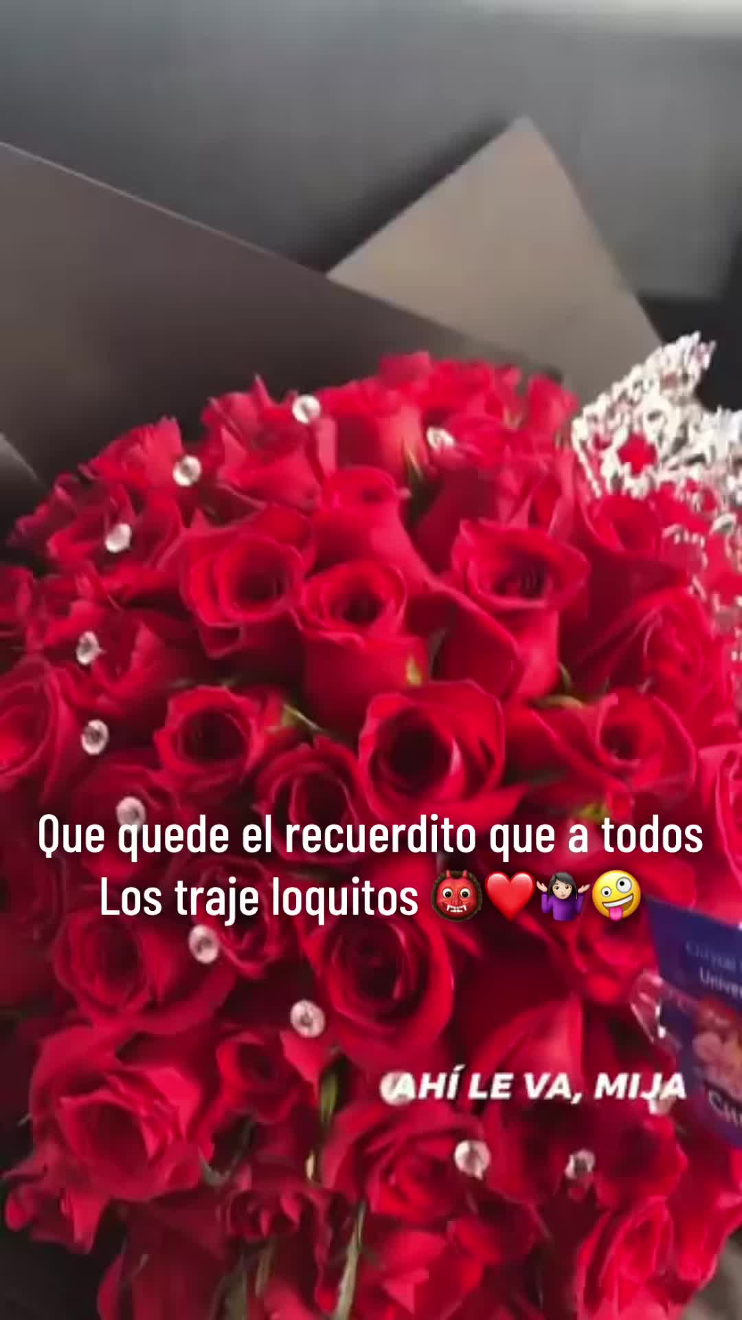 @Erikasaldana