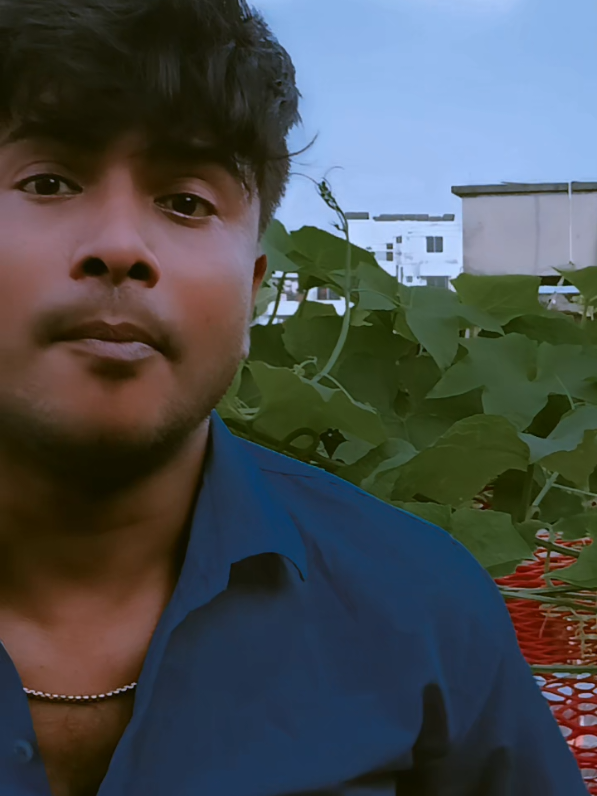 @Md Alvi Taluckder