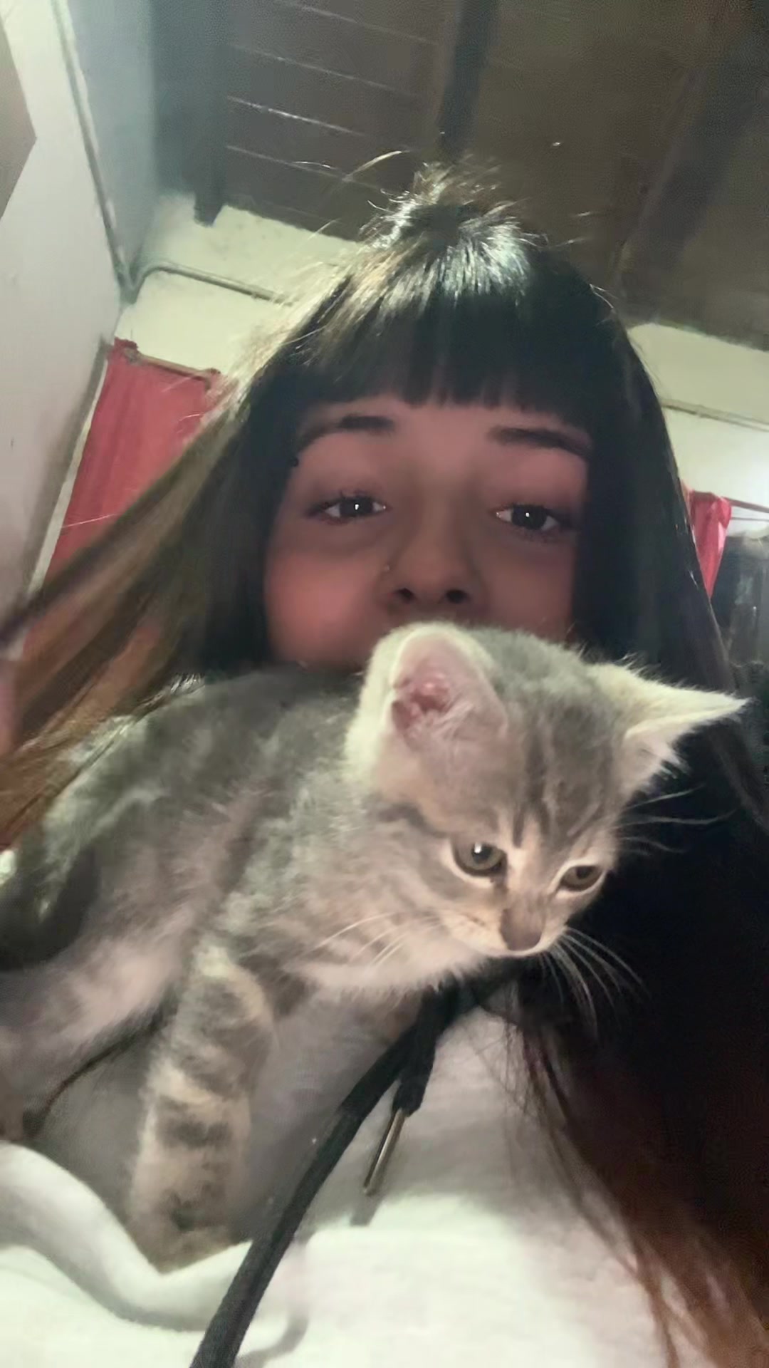 @Maga.quaaglia