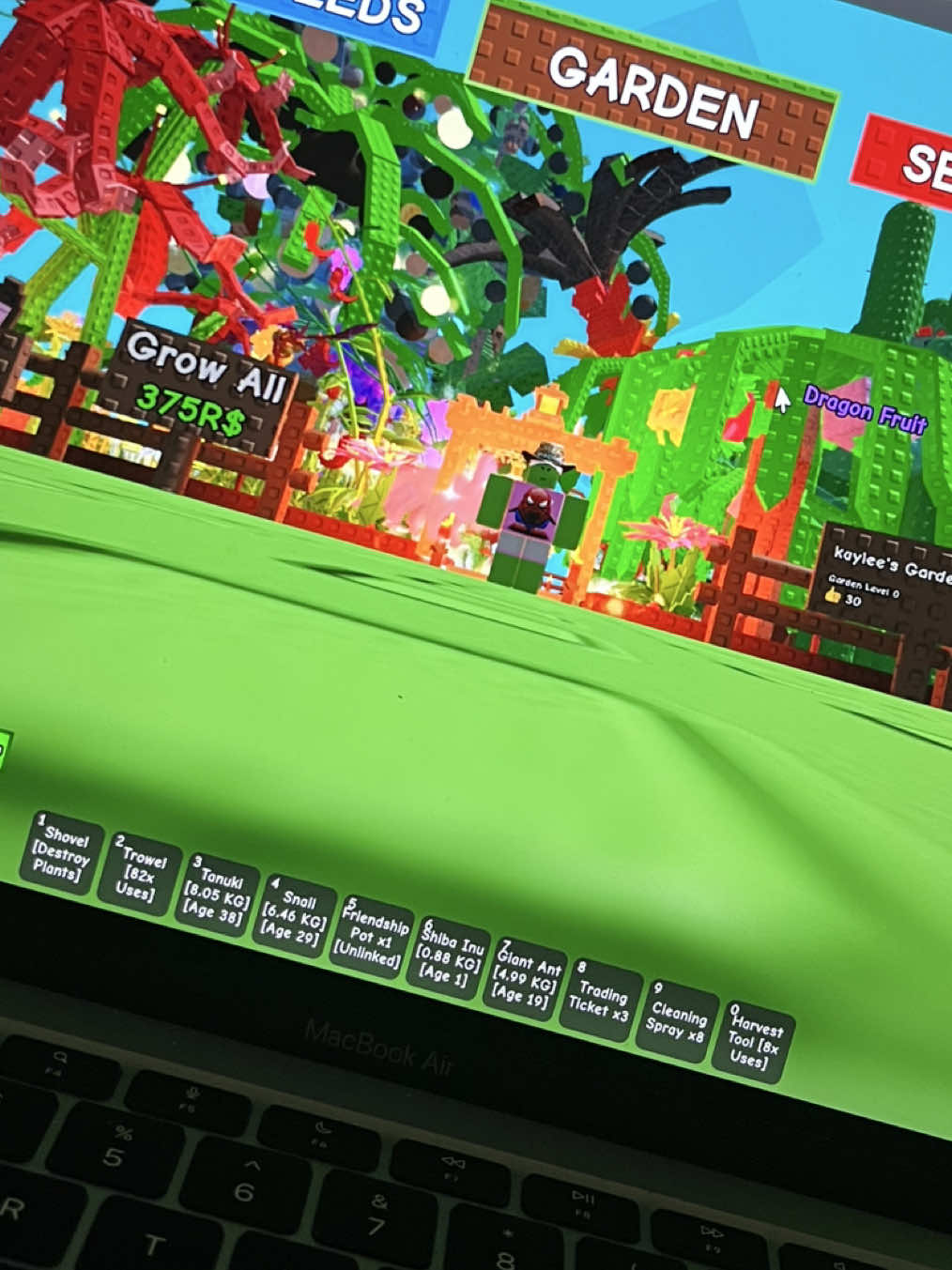 @bigchungustwerkulator_67