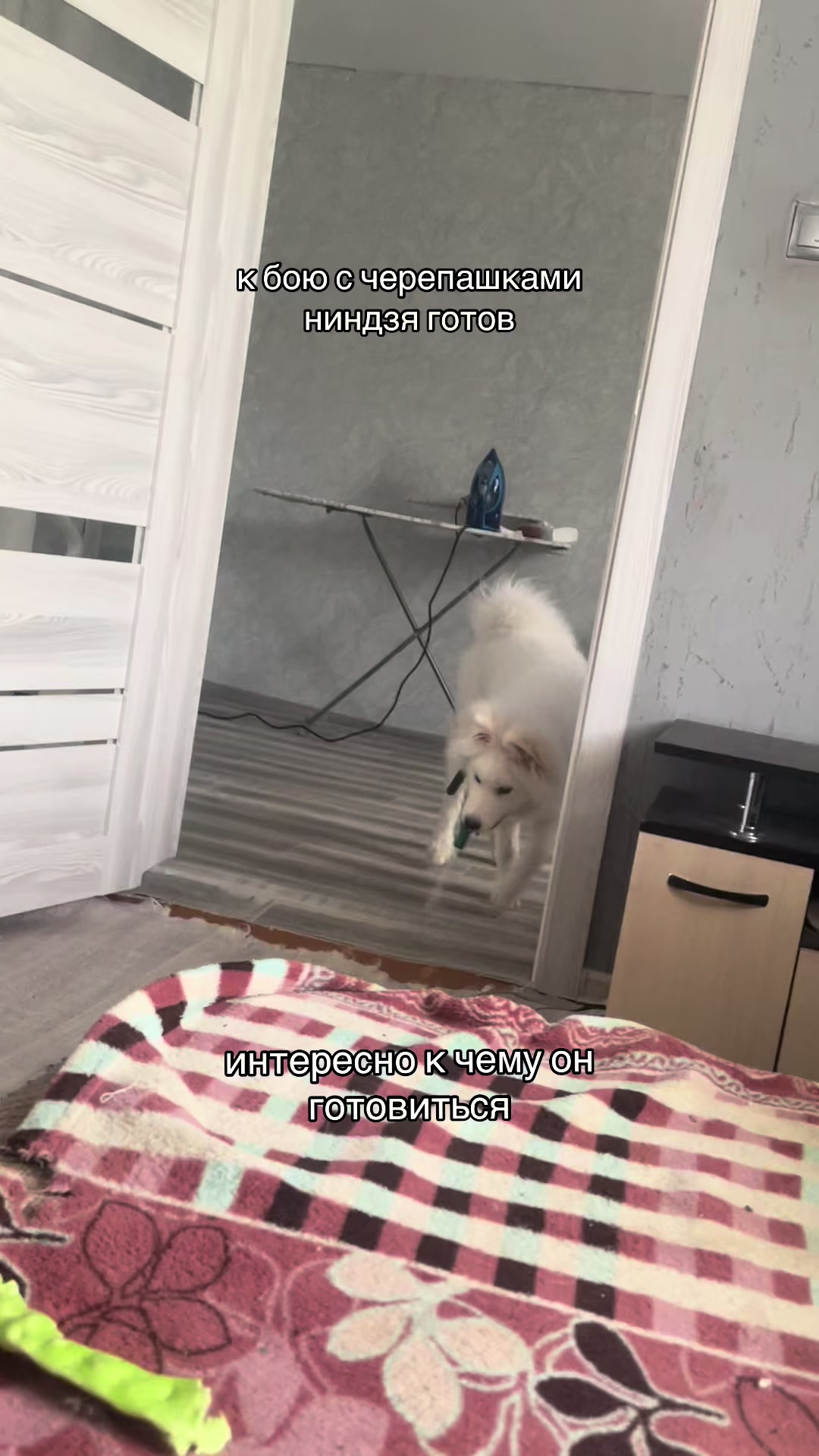 @нуу кика🤗