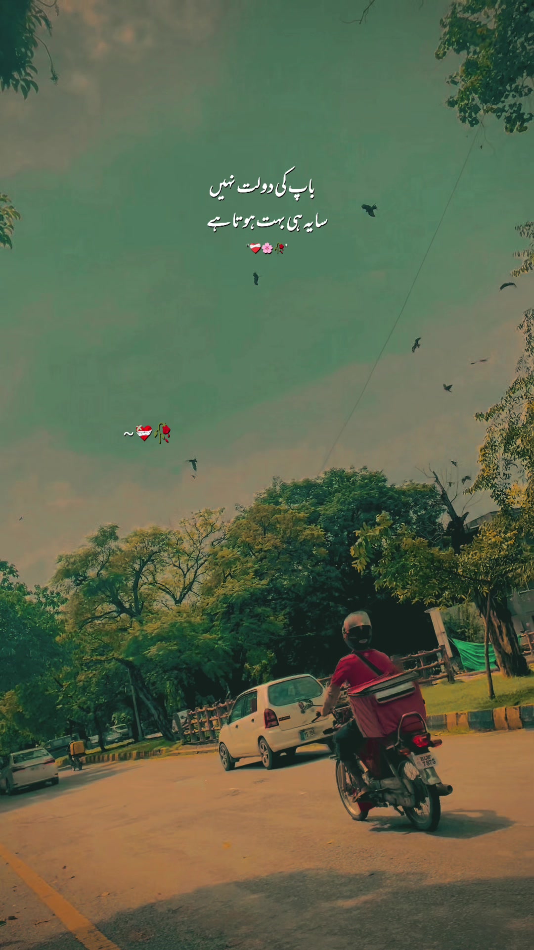 @Kayani🩶223