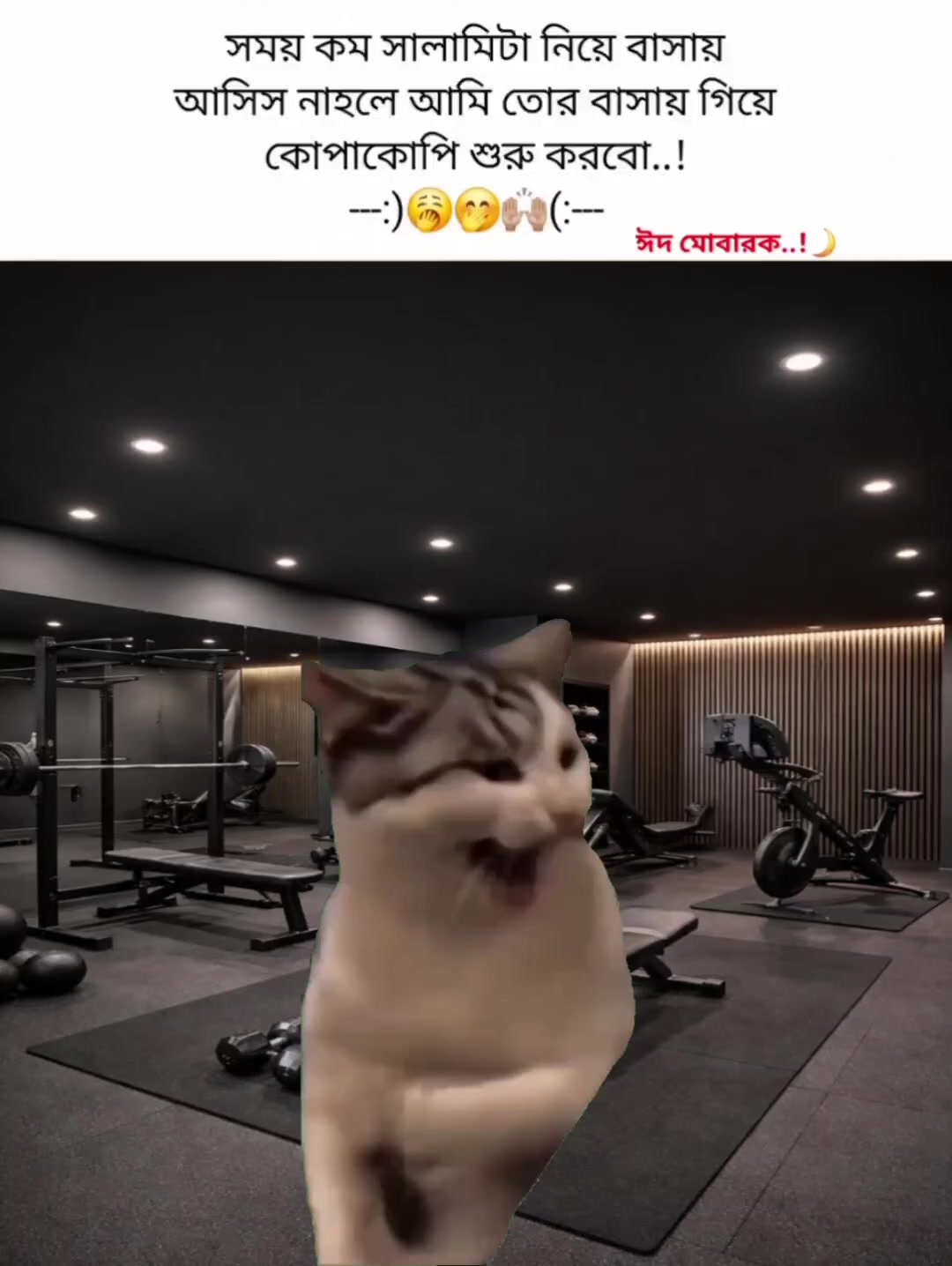 @Fahhh