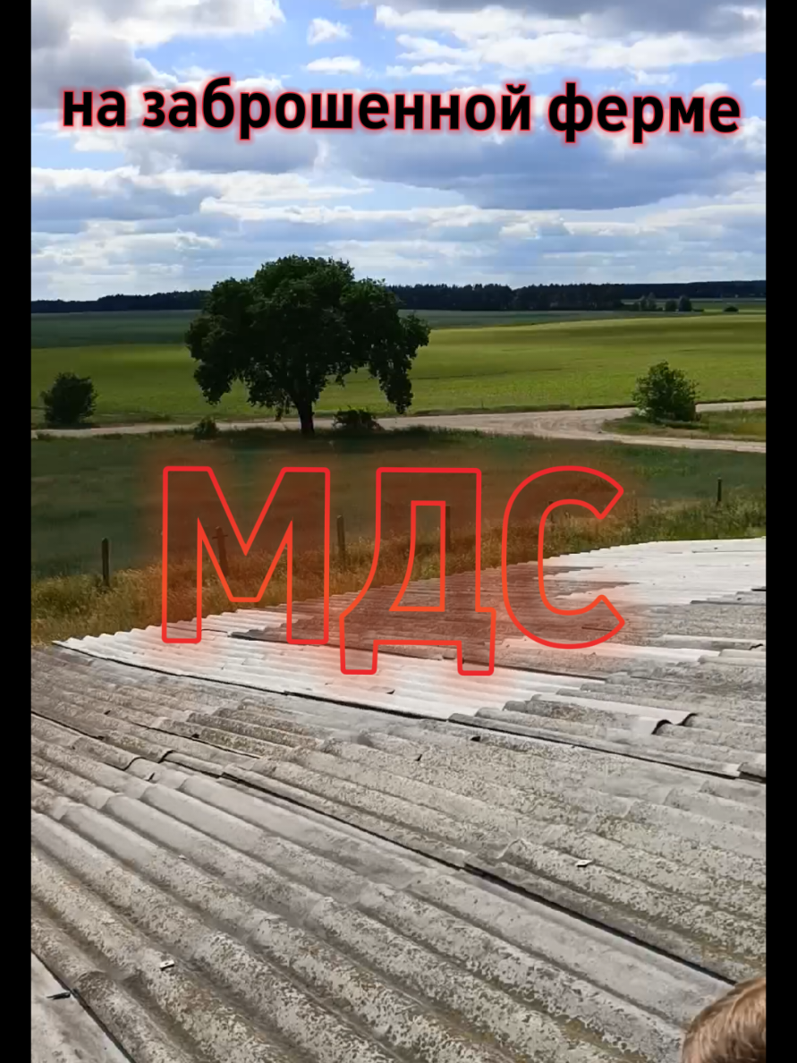 @ツ 𝕋ℍ𝔼 𝕄𝔸𝕏𝕊 ツ
