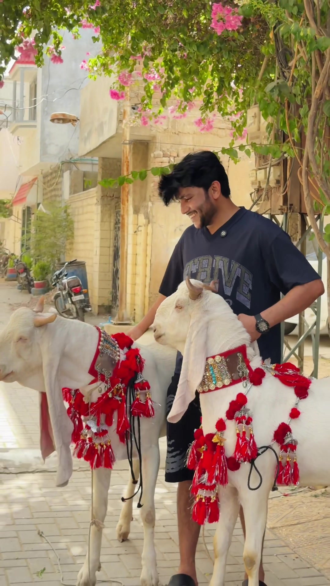 @Ali_Hyderabadi ❤️