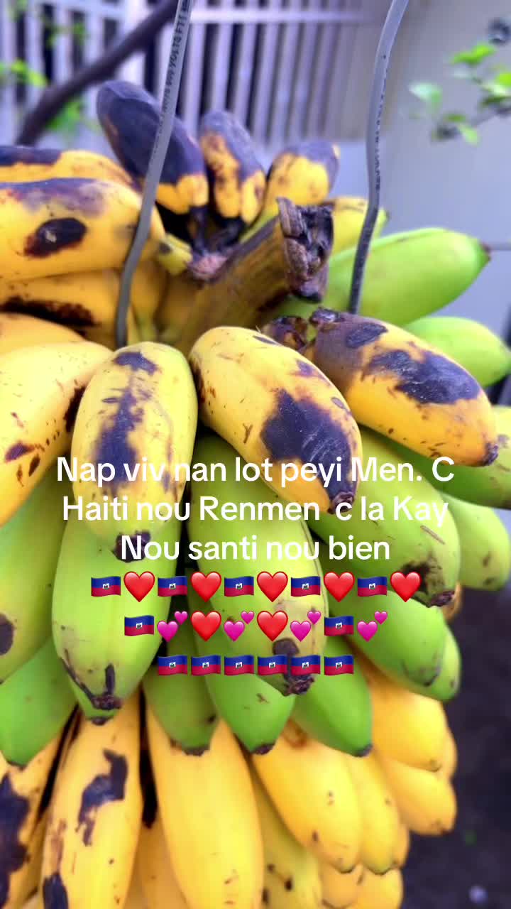 @Came