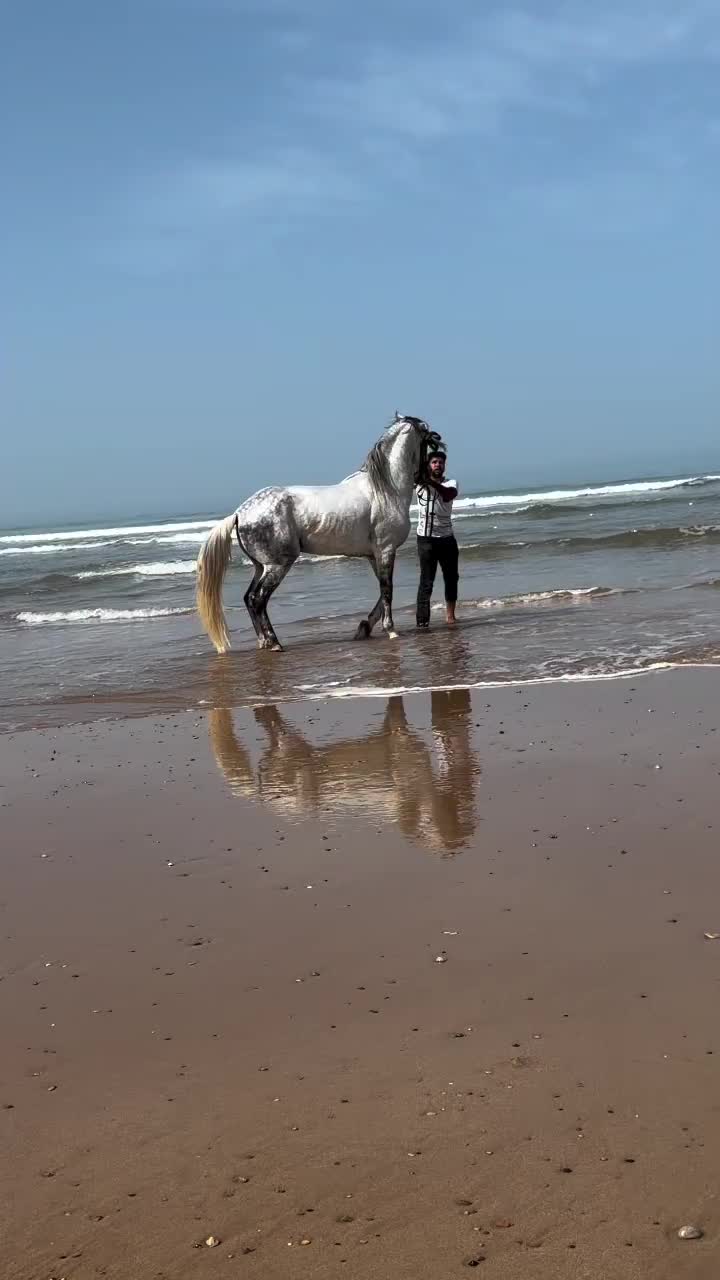 @ThunderGallops