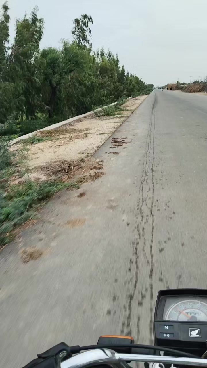 @Farhan Ali Udhejo
