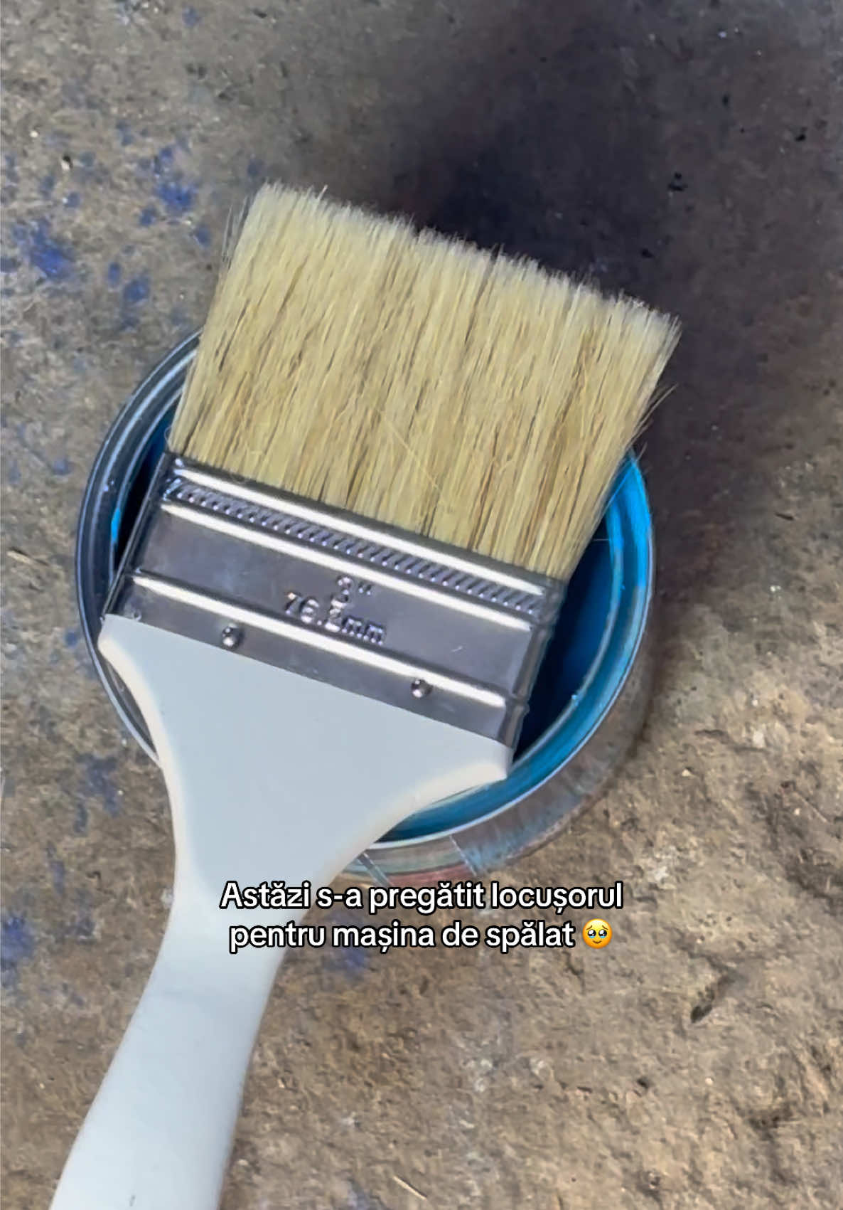 @alina